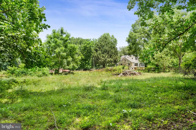 a view of a garden with a tree