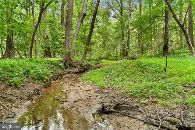 a view of house with a yard