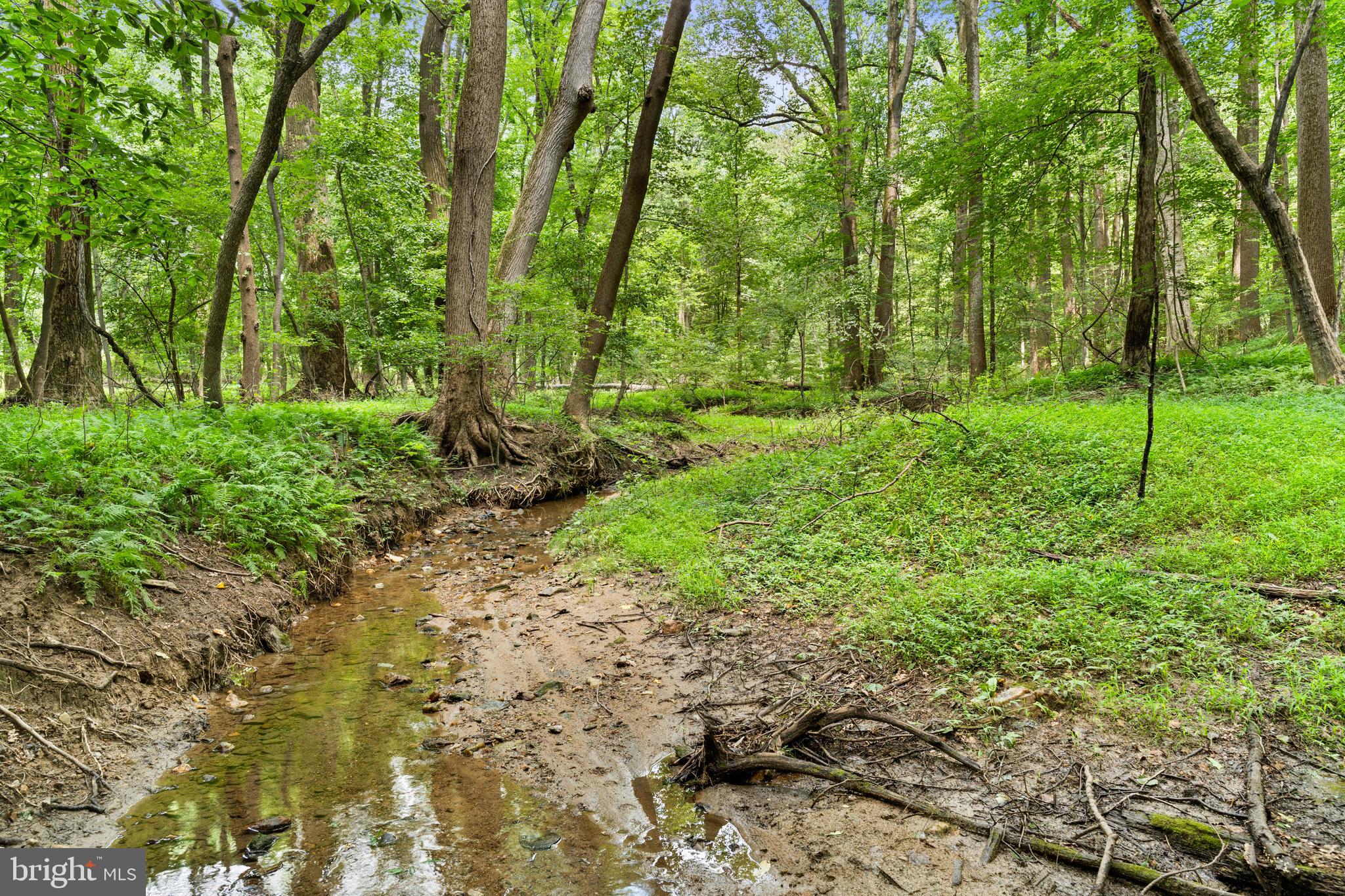 3320 Offutt Road Randallstown, MD 21133 - Photo 3 of 23