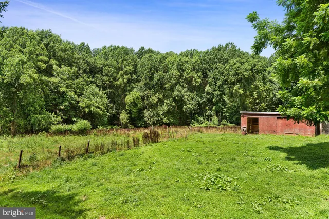 a view of backyard with green space