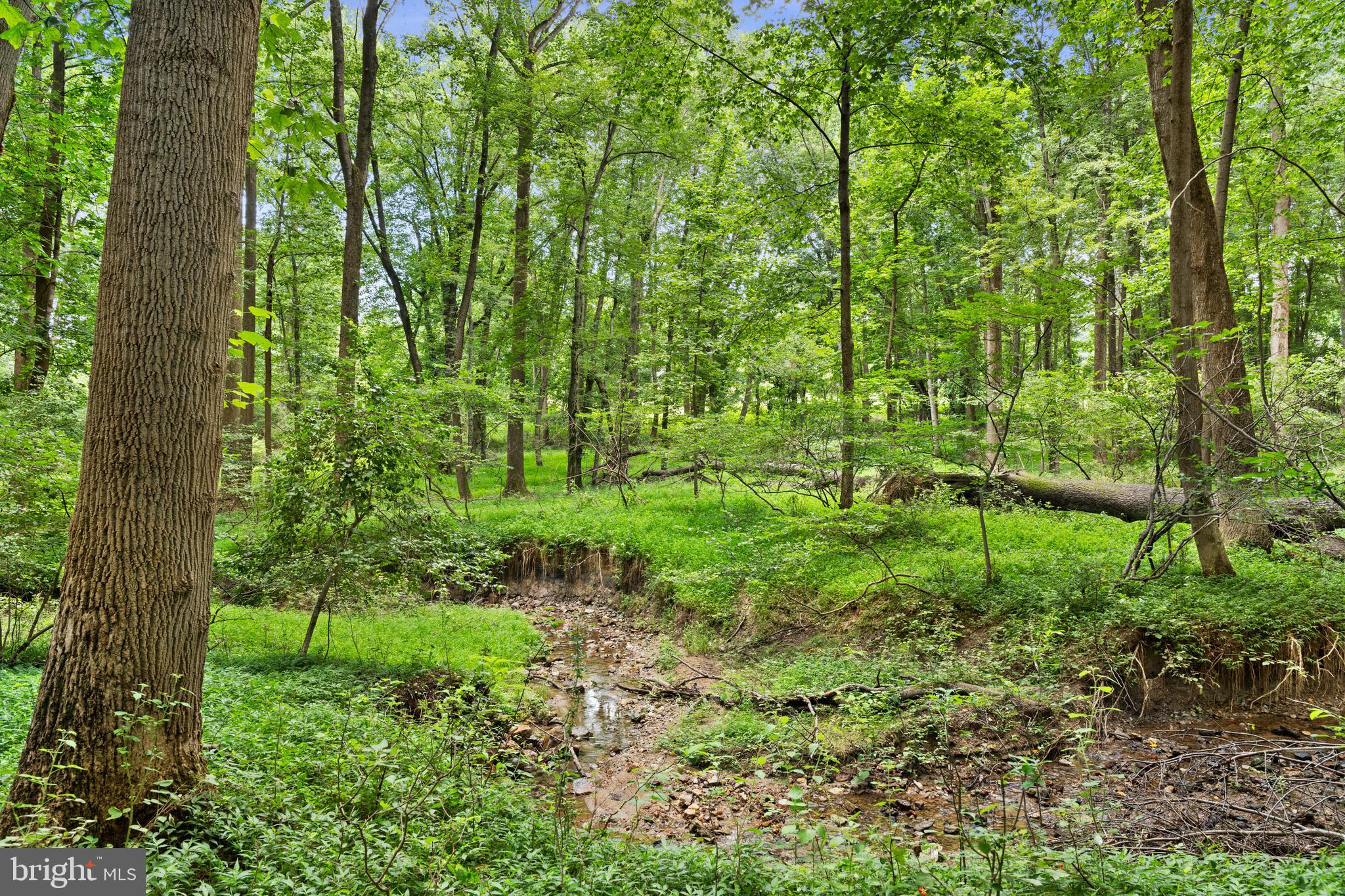 3320 Offutt Road Randallstown, MD 21133 - Photo 10 of 23