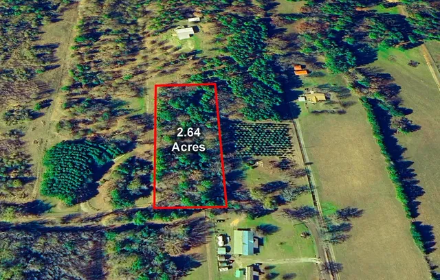 a view of a lake with a lot of flowers