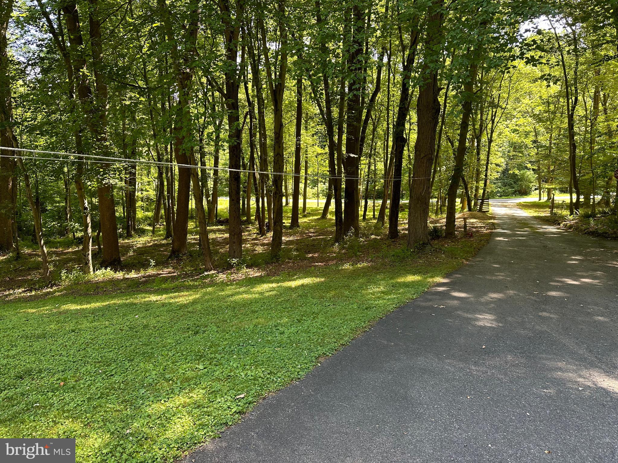 63 Old Hilltop Road Conowingo, MD 21918 - Photo 2 of 4 Driveway