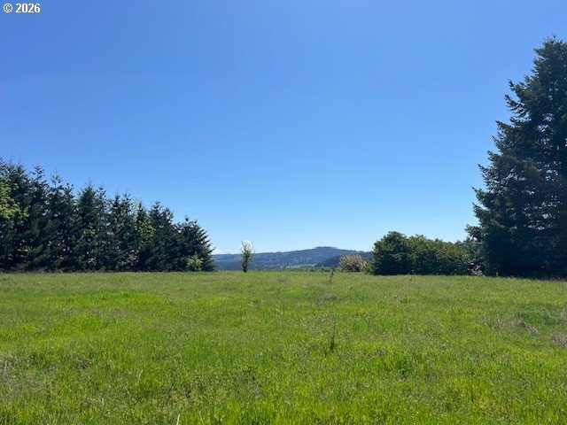 32784 Southwest Laurelview Road Hillsboro, OR 97123 - Photo 27 of 43