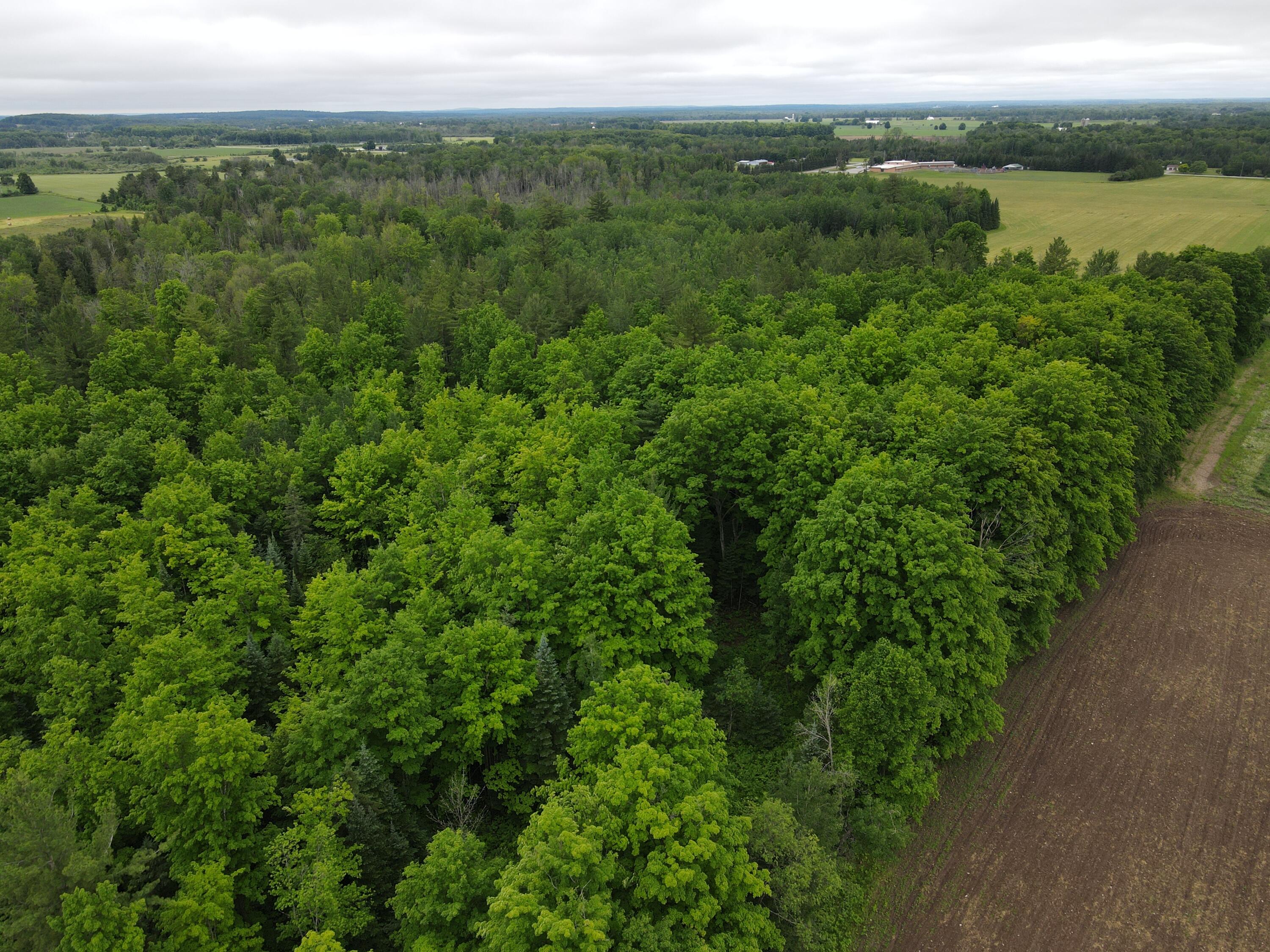 -vl Nappers Road Herron, MI 49744 - Photo 11 of 24 DJI_0431