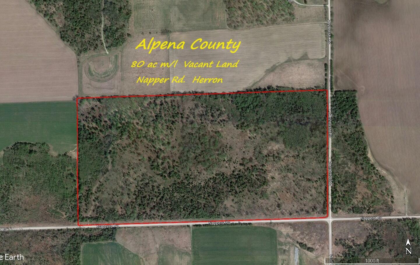 -vl Nappers Road Herron, MI 49744 - Photo 2 of 24 Map 1