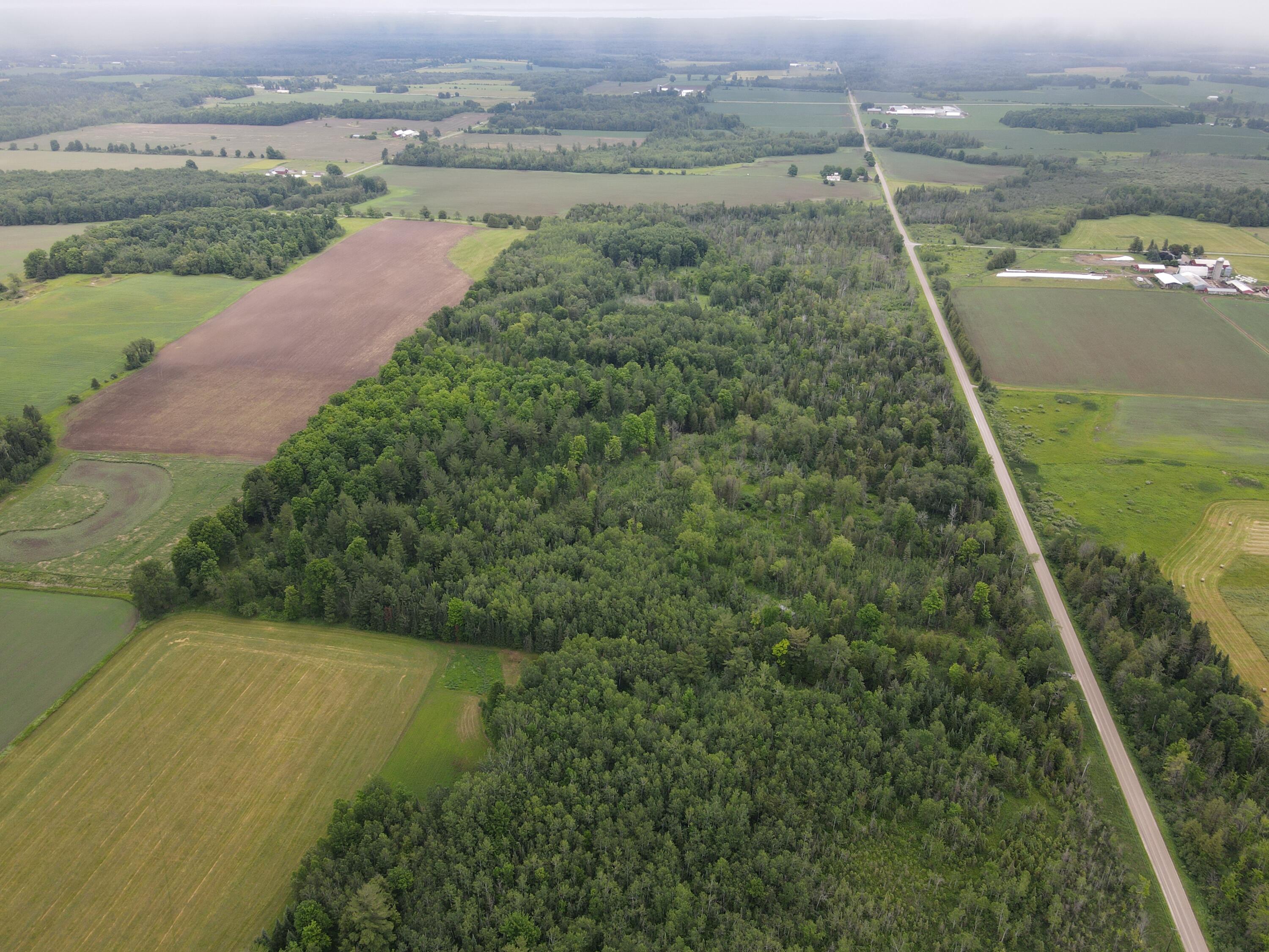 -vl Nappers Road Herron, MI 49744 - Photo 5 of 24 DJI_0414