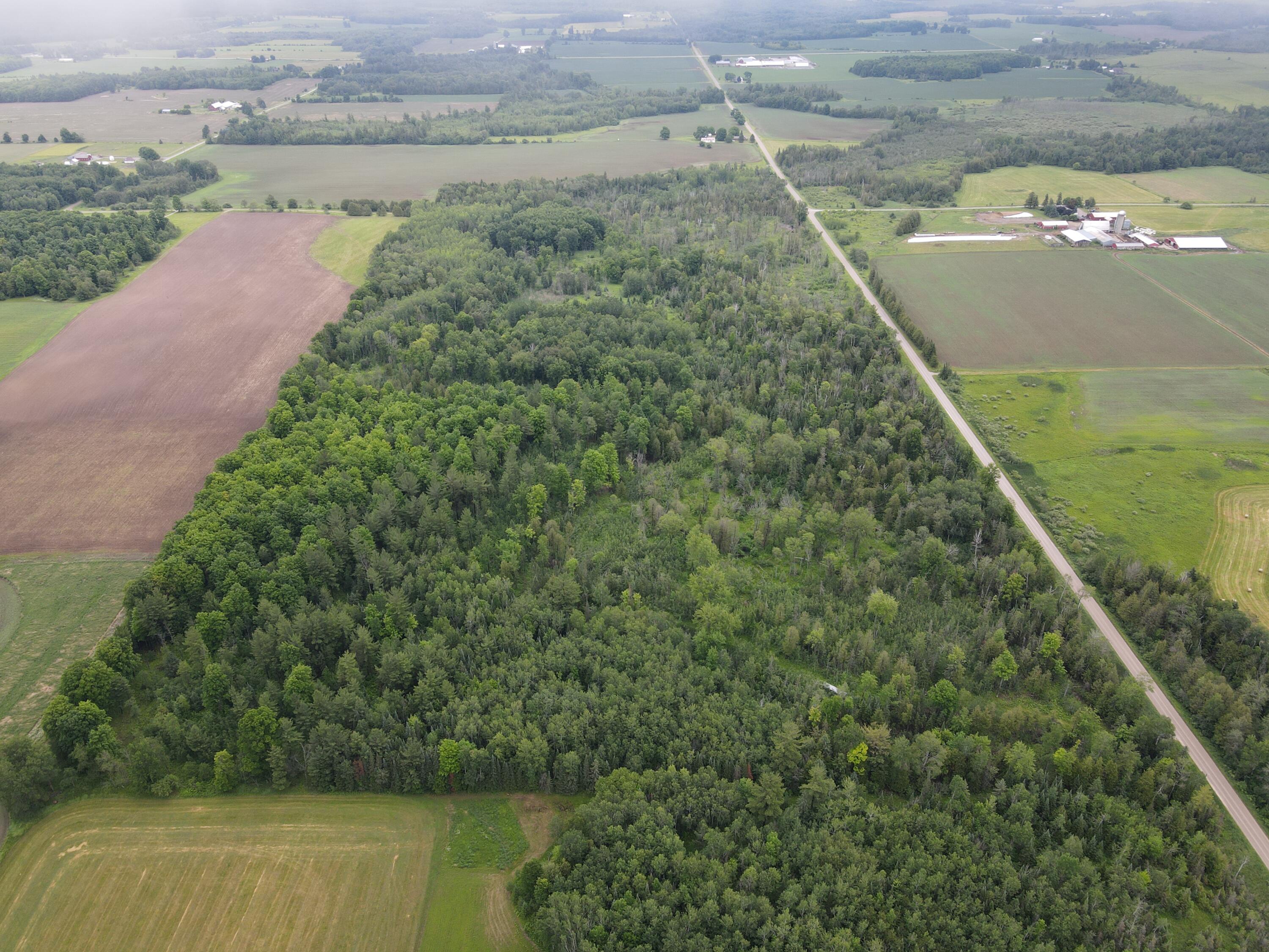 -vl Nappers Road Herron, MI 49744 - Photo 6 of 24 DJI_0416