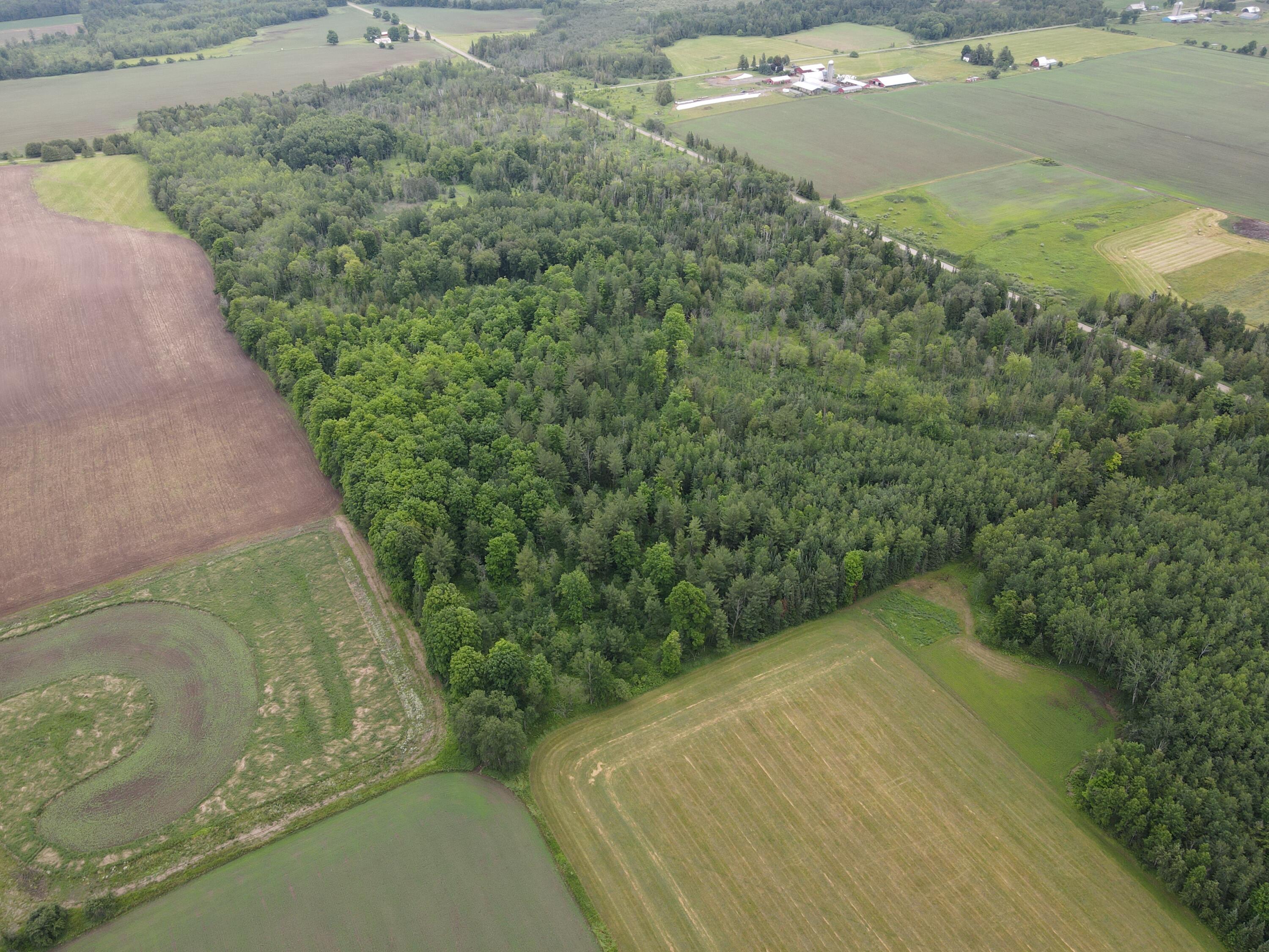 -vl Nappers Road Herron, MI 49744 - Photo 7 of 24 DJI_0418
