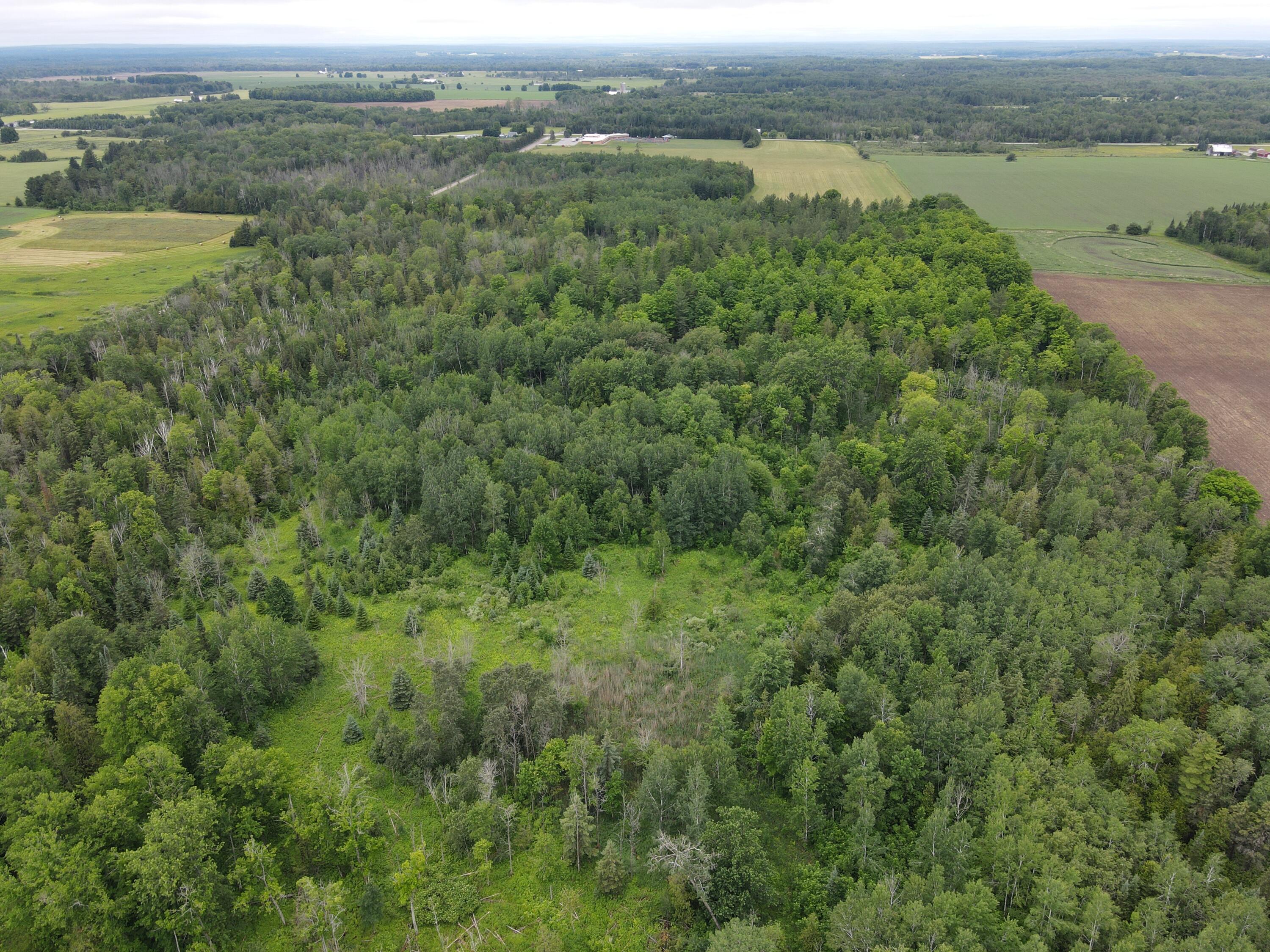 -vl Nappers Road Herron, MI 49744 - Photo 9 of 24 DJI_0427