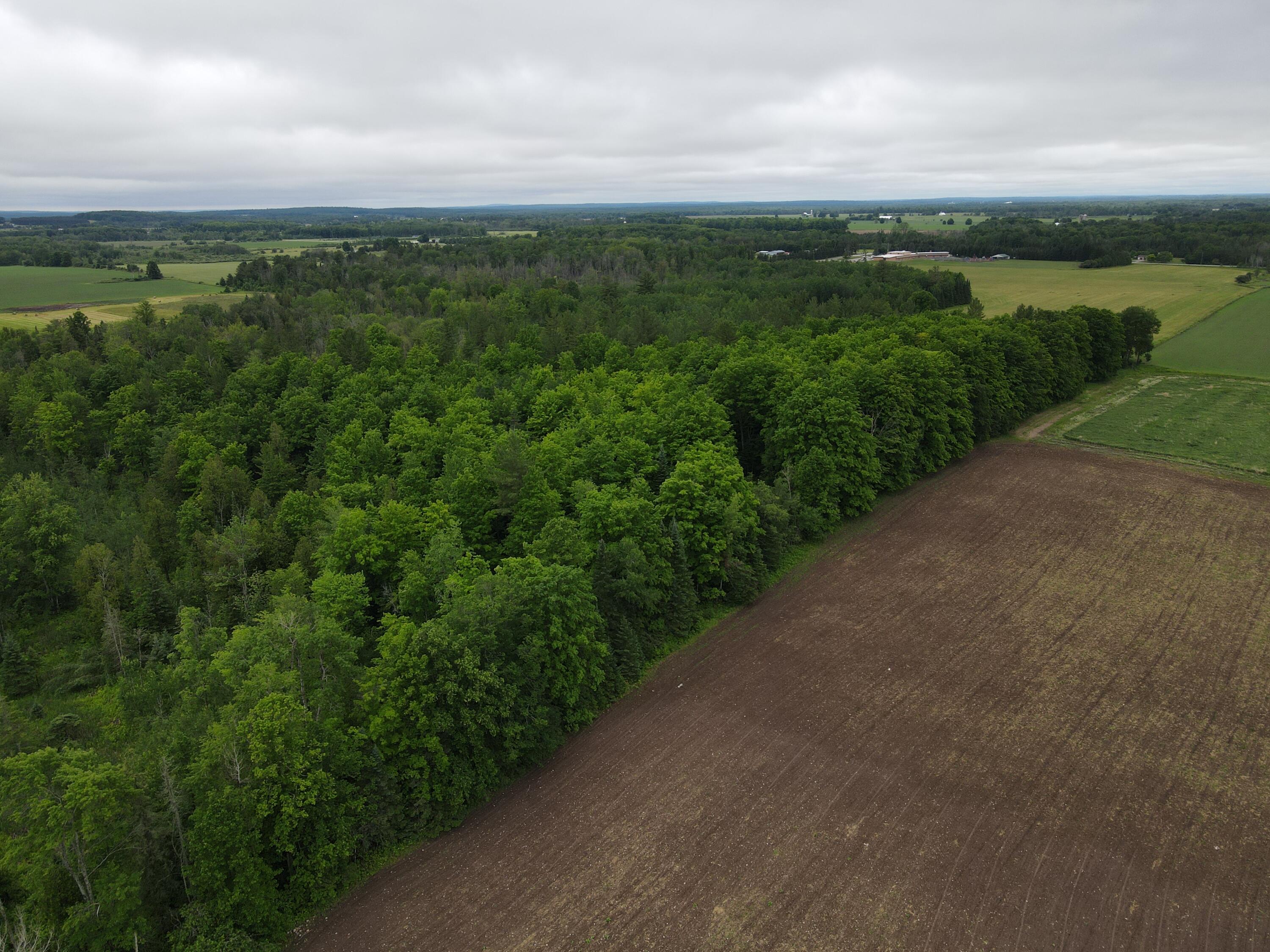 -vl Nappers Road Herron, MI 49744 - Photo 10 of 24 DJI_0430