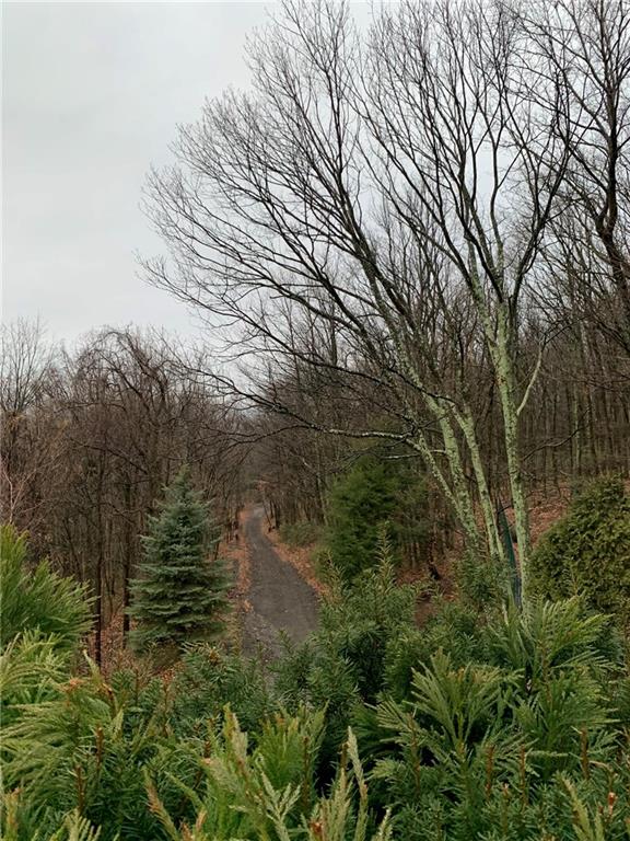 235 Pine Knob Road Hopwood, PA 15445 - Photo 14 of 25