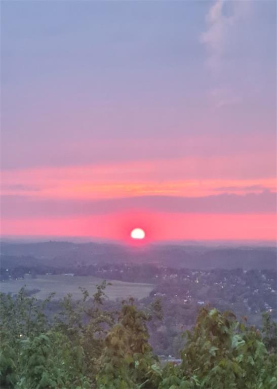 235 Pine Knob Road Hopwood, PA 15445 - Photo 21 of 39 a view of a big yard in a city