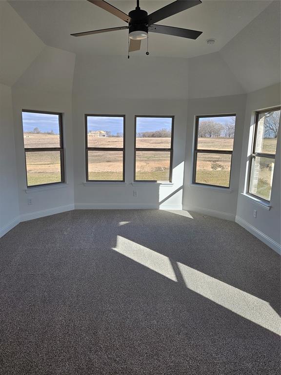 1507 Enloe Road Howe, TX 75459 - Photo 14 of 27 a view of empty room with windows