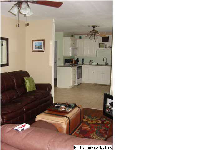 6520 Water Works Road Mount Olive, AL 35117 - Photo 5 of 27