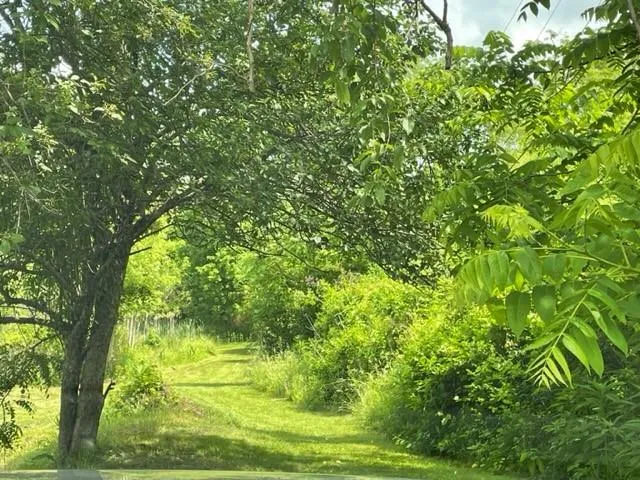 $110,000 | 1204 Pittsburgh Road, Uniontown, PA 15401