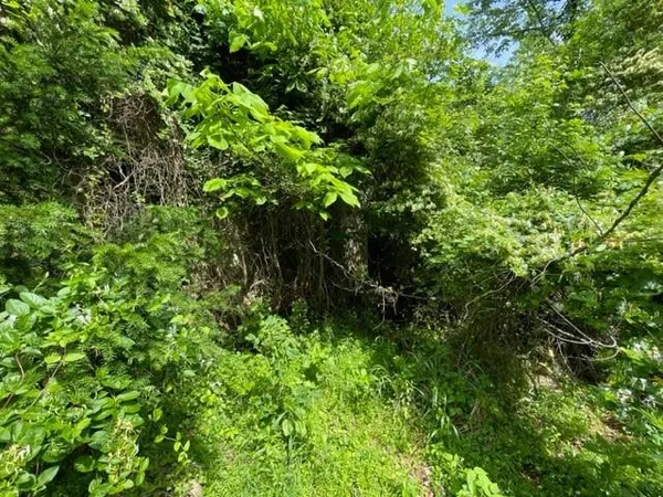 $40,000 | 1204 Pittsburgh Road, Uniontown, PA 15401