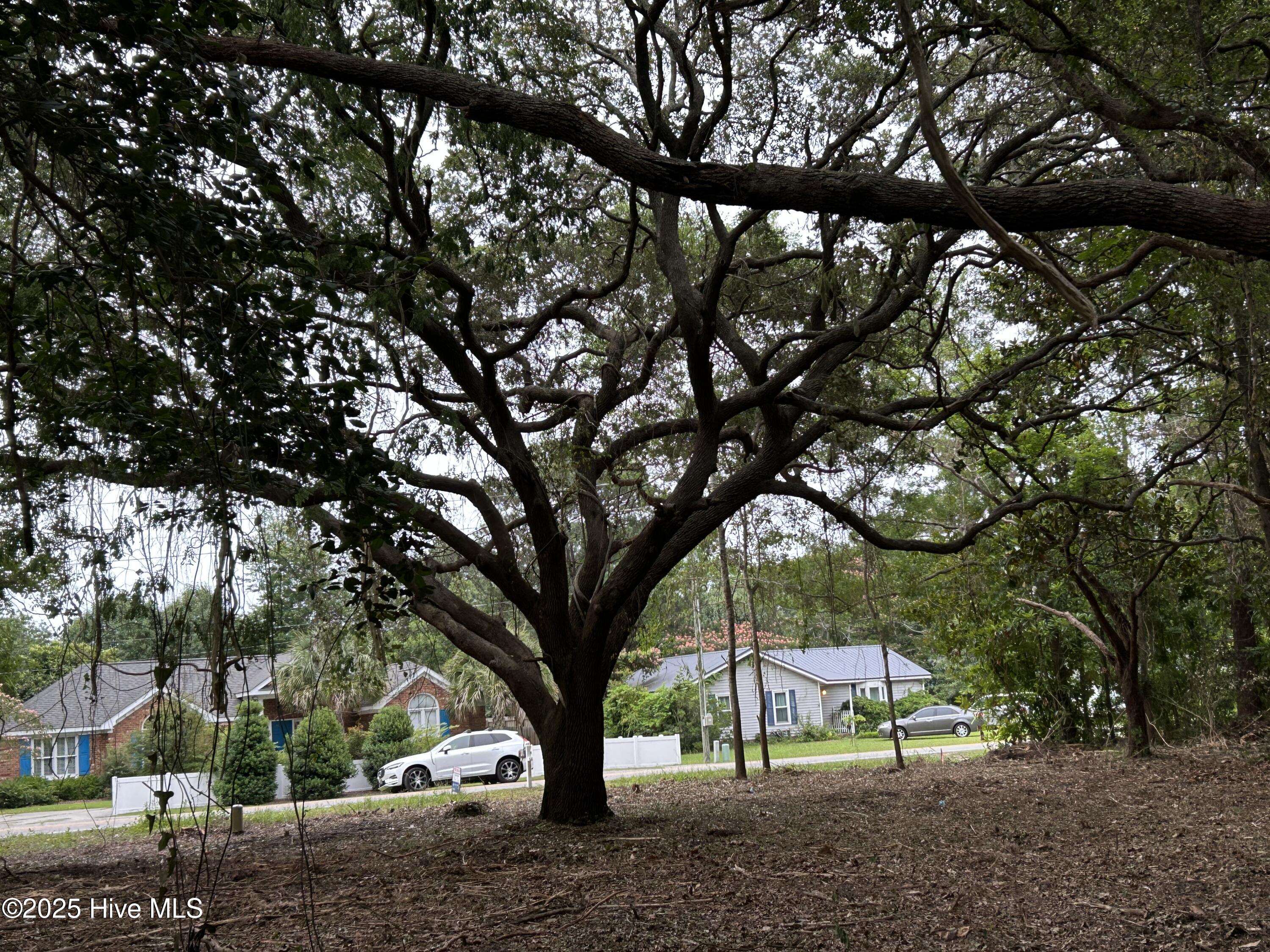 1128-2 Beasley Road Wilmington, NC 28409 - Photo 2 of 14 IMG_6148