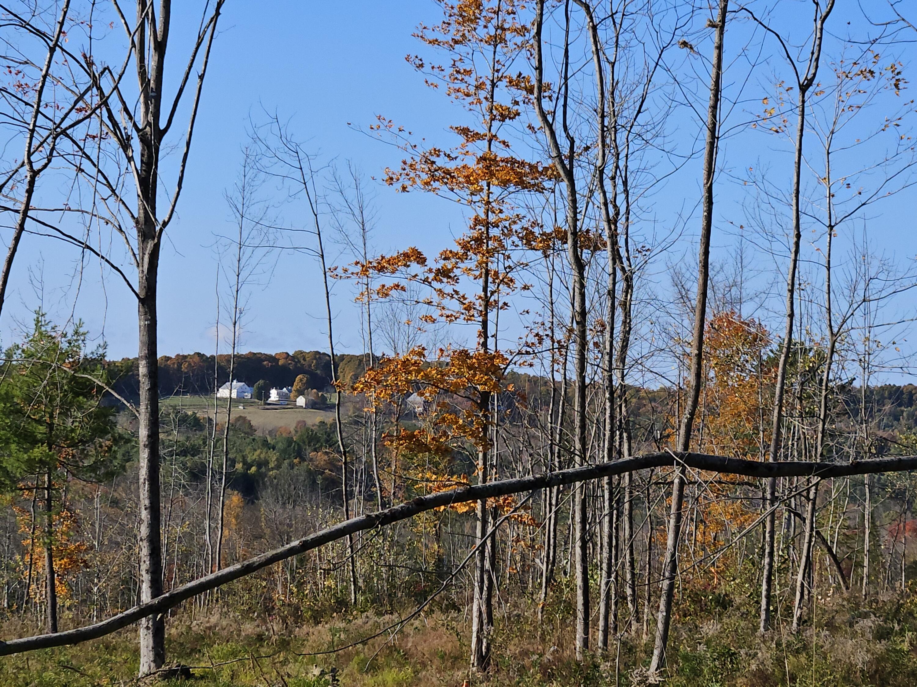 R11-033-4 Bailey Hill Road Farmington, ME 04938 - Photo 11 of 24 20241011_153946