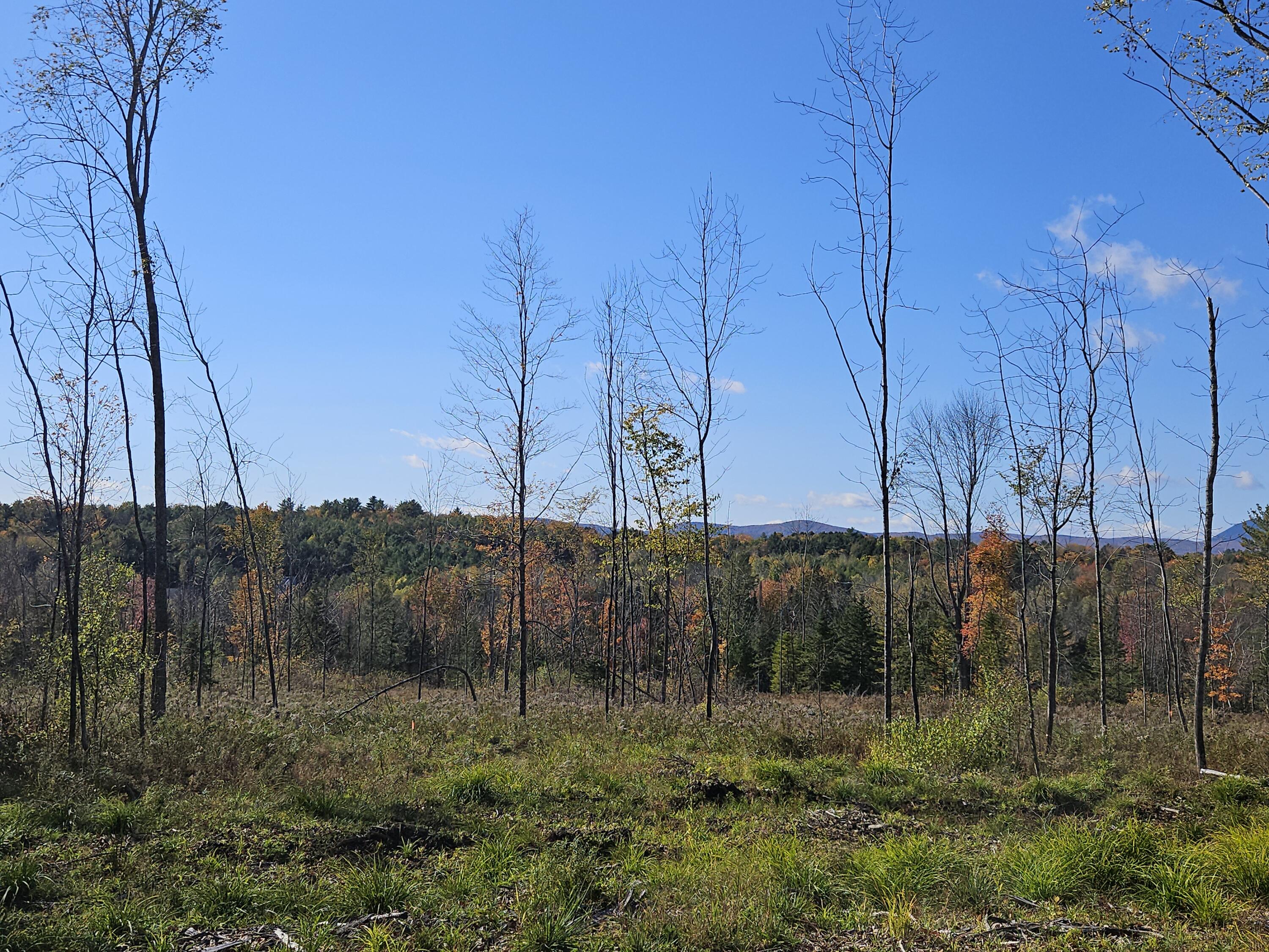 R11-033-4 Bailey Hill Road Farmington, ME 04938 - Photo 5 of 24 20241011_140245