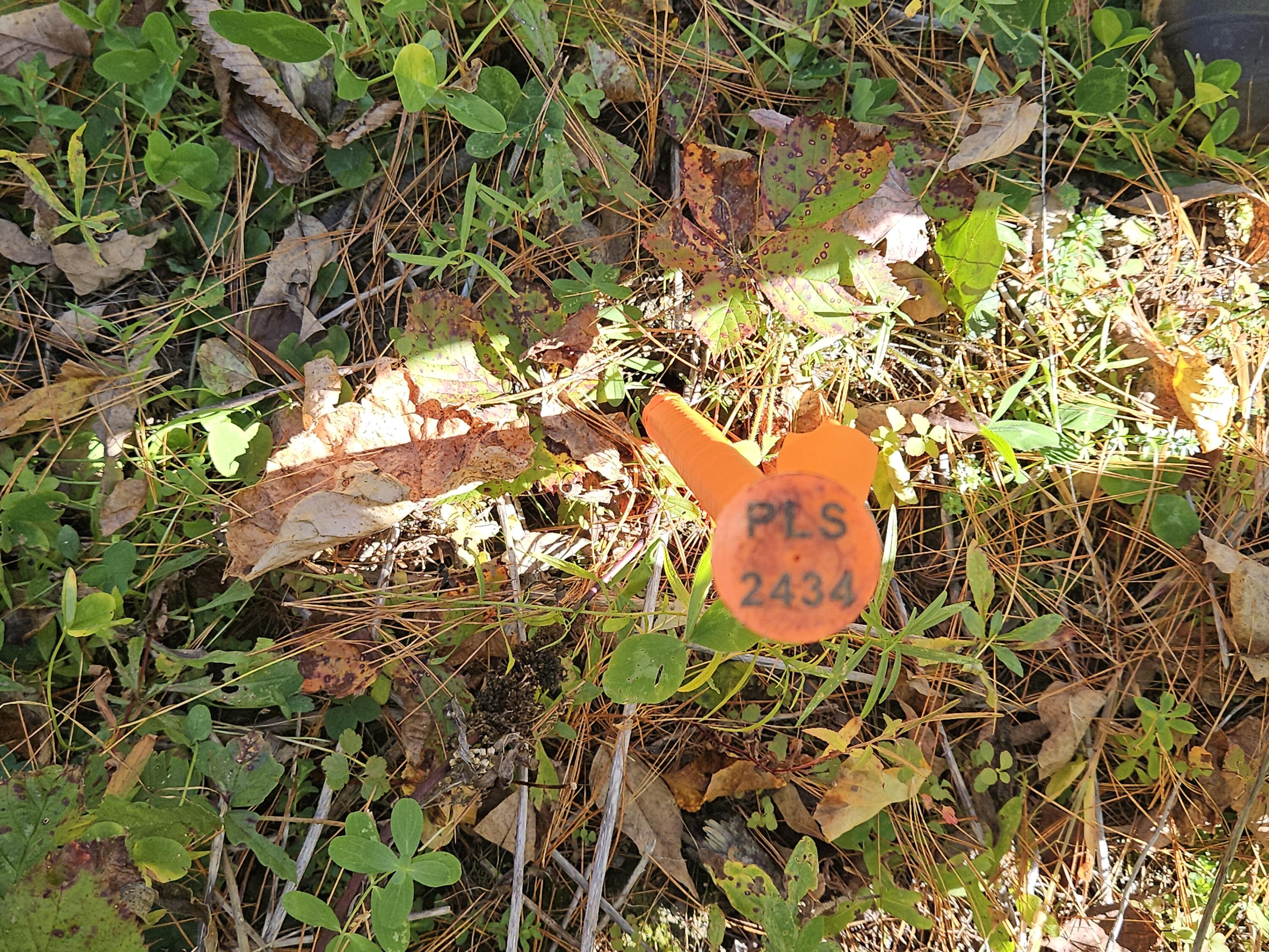 R11-033-4 Bailey Hill Road Farmington, ME 04938 - Photo 10 of 24 20241011_140401