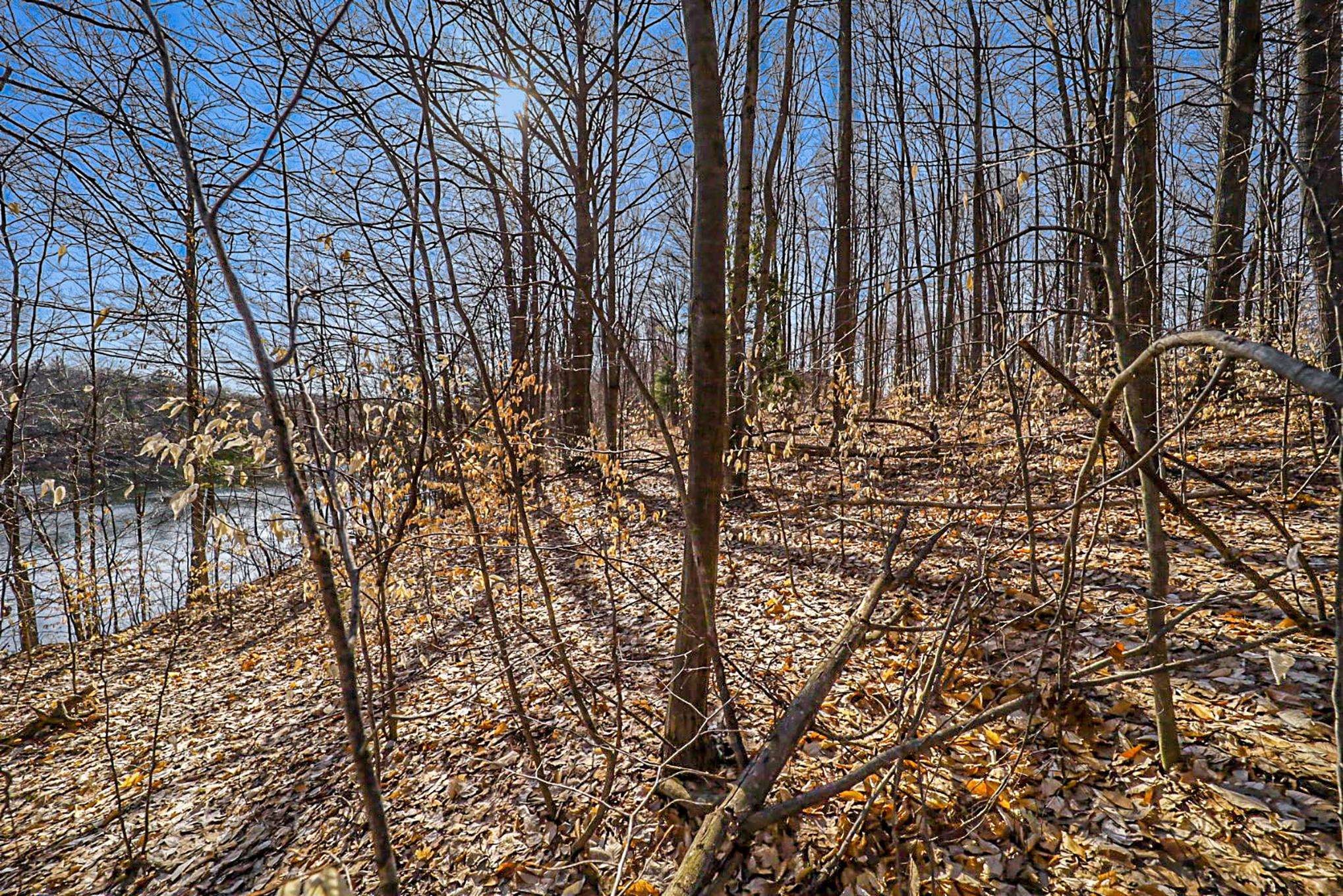 0 Heather Ridge Trail, Unit LOT 6 Beulah, MI 49617 - Photo 10 of 23
