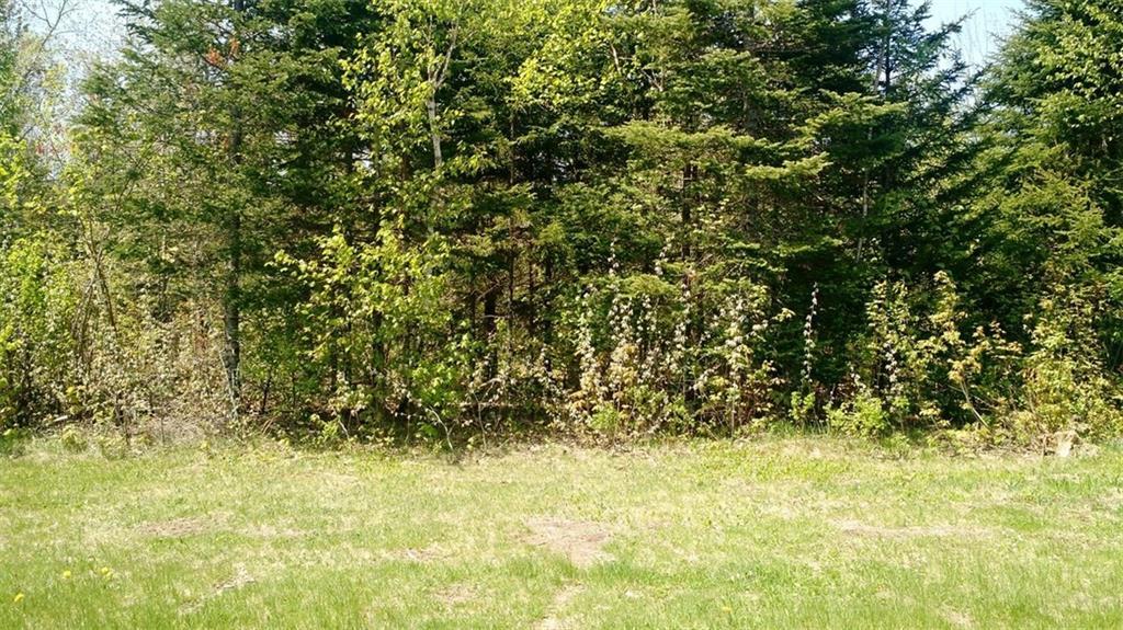 Lot 96 Off Brown Road Carroll Plt, ME 04487 - Photo 4 of 9 Photo