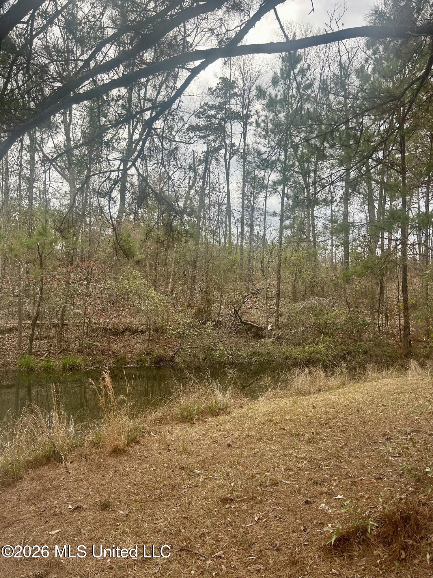 464 Felps Lane Southwest Brookhaven, MS 39601 - Photo 16 of 22 pond and woods