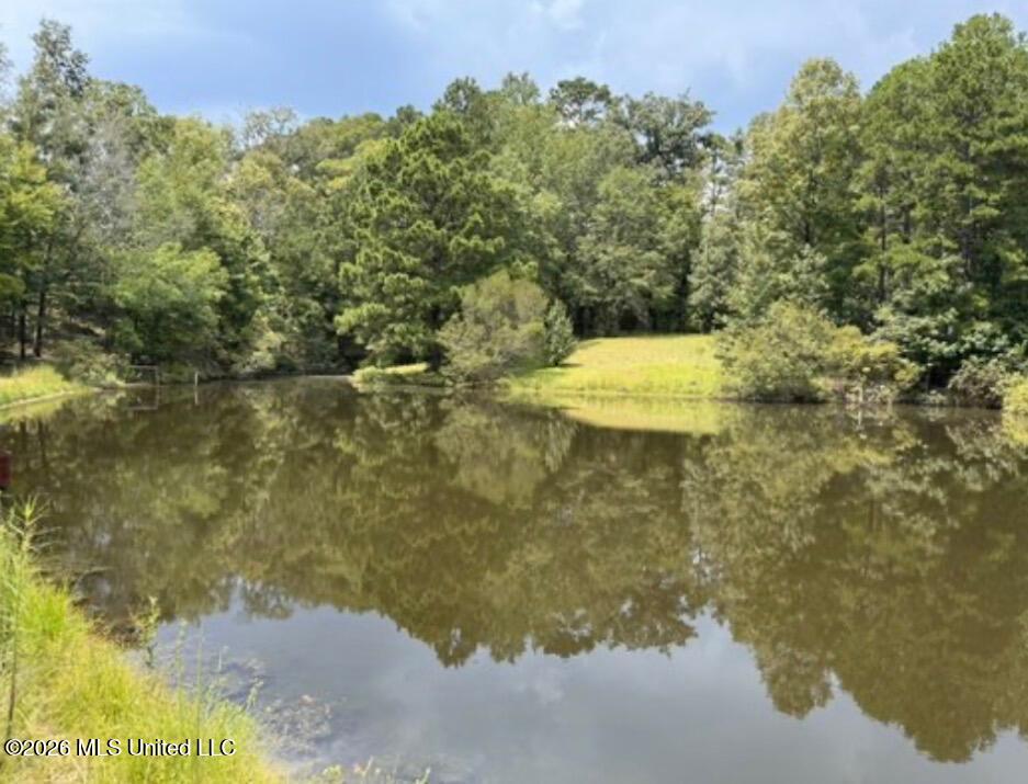 464 Felps Lane Southwest Brookhaven, MS 39601 - Photo 4 of 22 large pond
