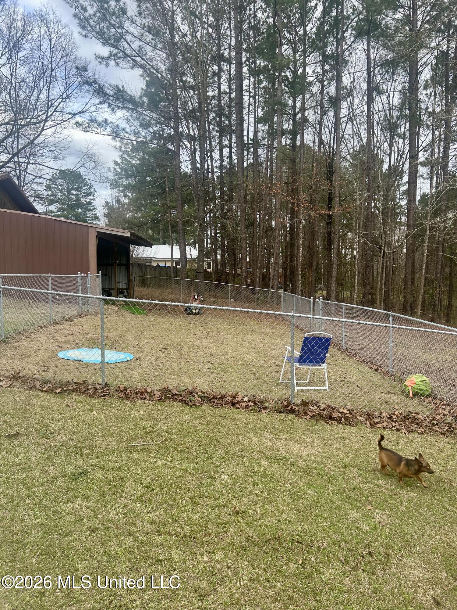 464 Felps Lane Southwest Brookhaven, MS 39601 - Photo 9 of 22 fenced area behind kennel