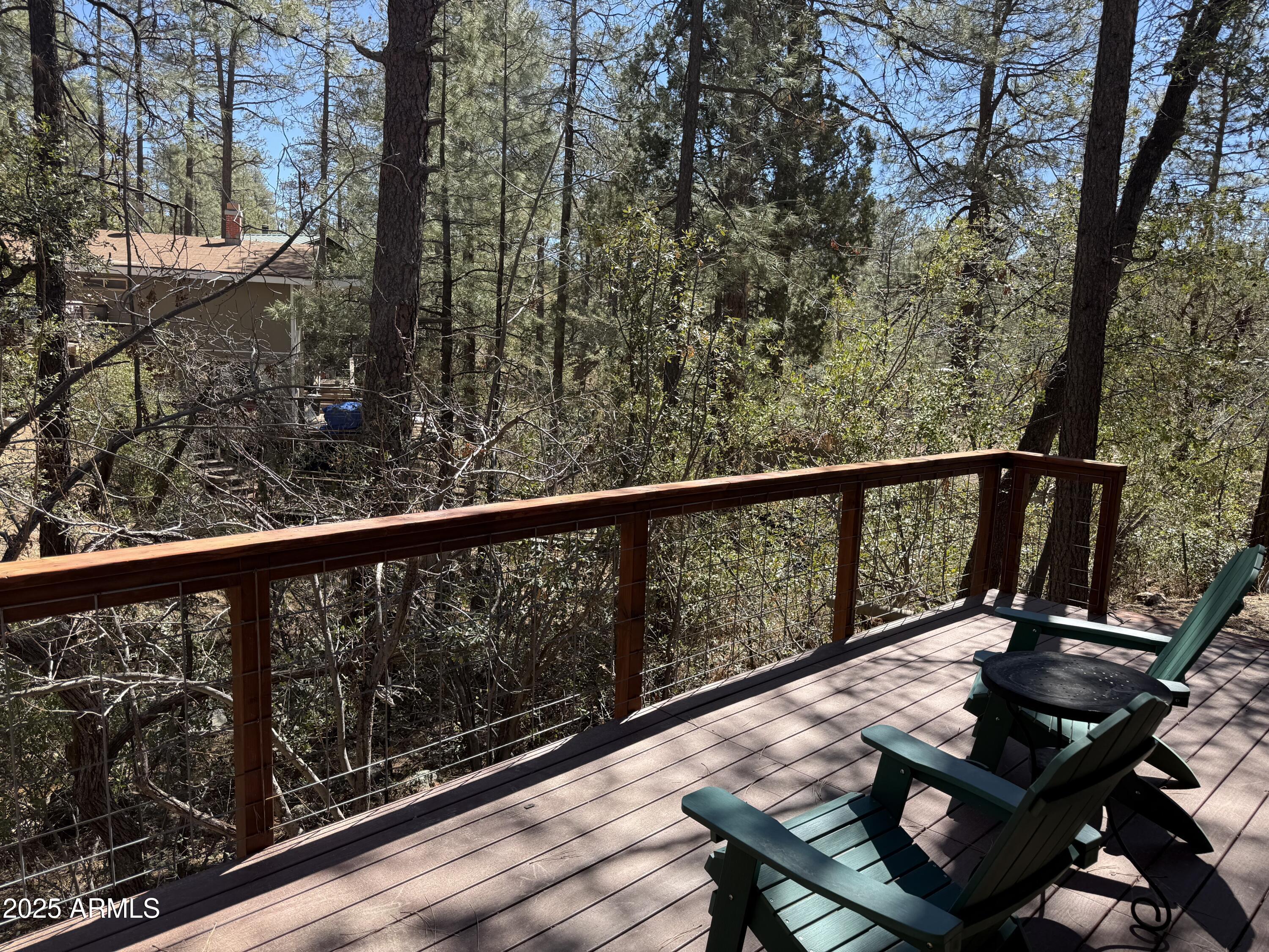 23295 South Towers Mountain Road Crown King, AZ 86343 - Photo 4 of 34 Tall pines