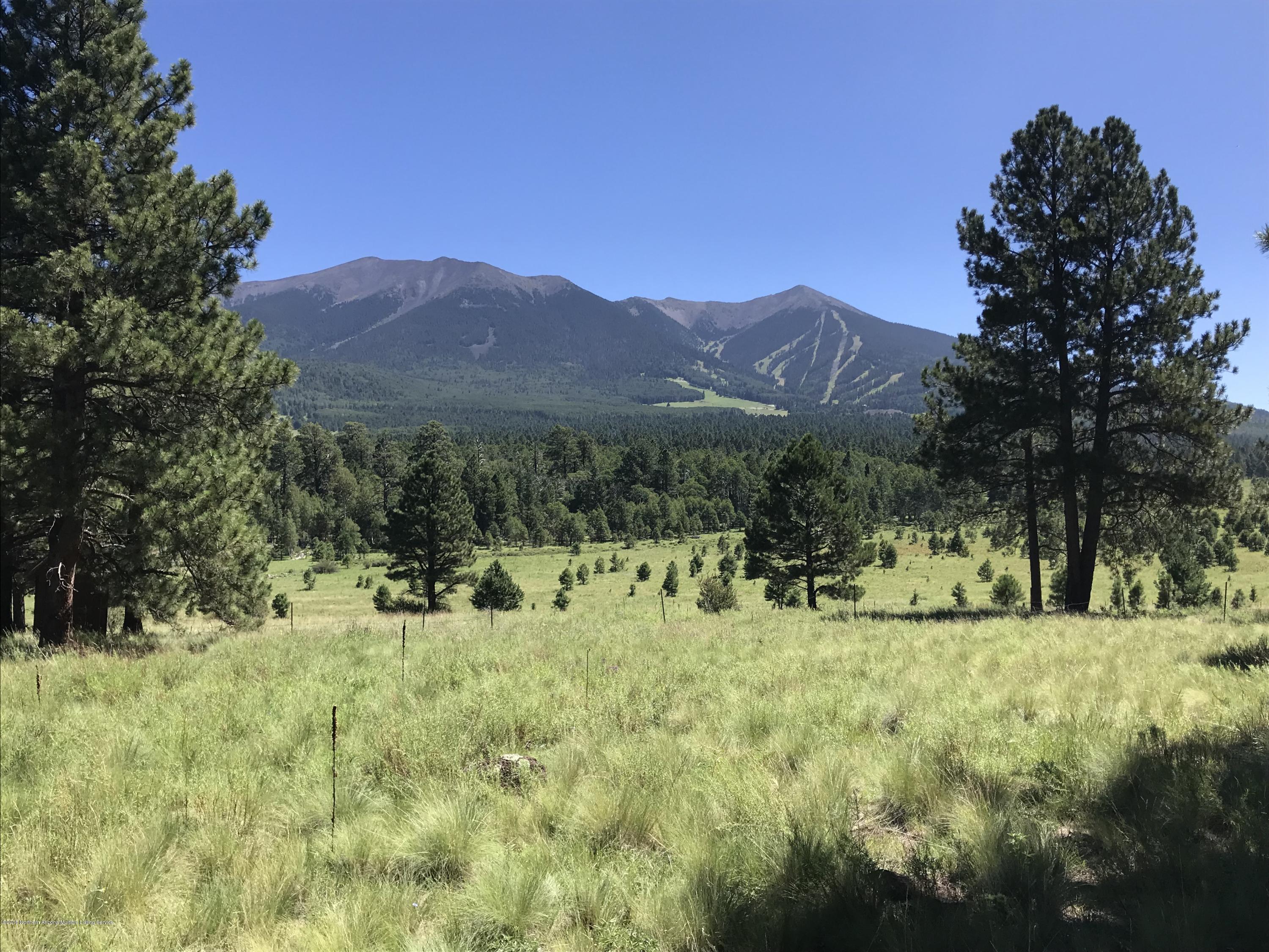 151 Hart Prairie Road Flagstaff, AZ 86001 - Photo 1 of 52 Hart Prairie Acreage