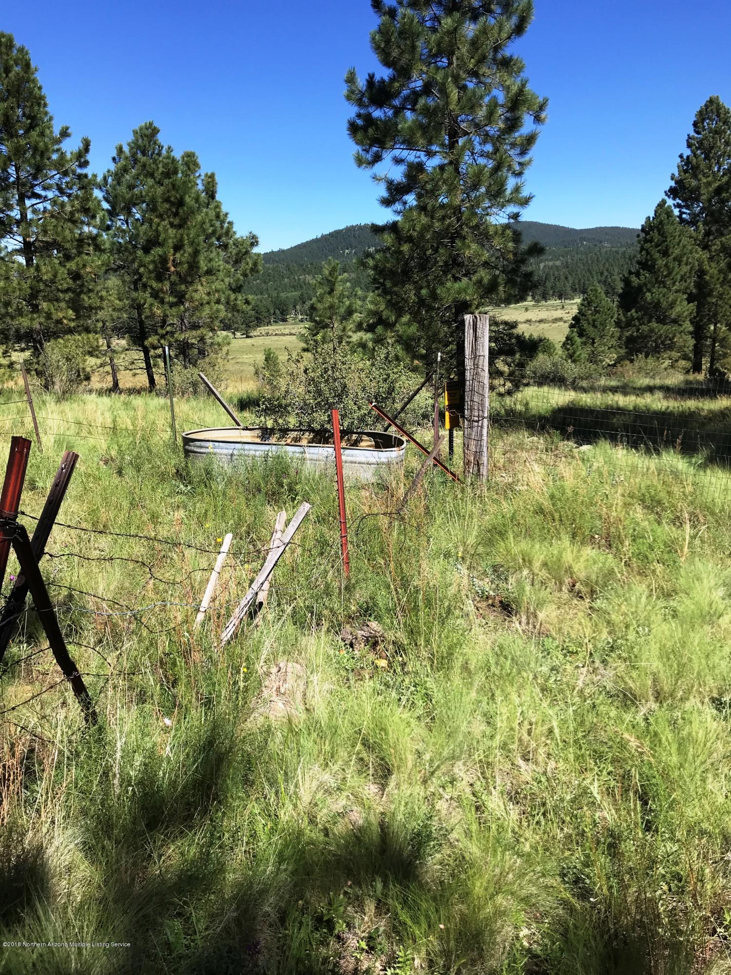 151 Hart Prairie Road Flagstaff, AZ 86001 - Photo 13 of 52 Hart Prairie Acreage