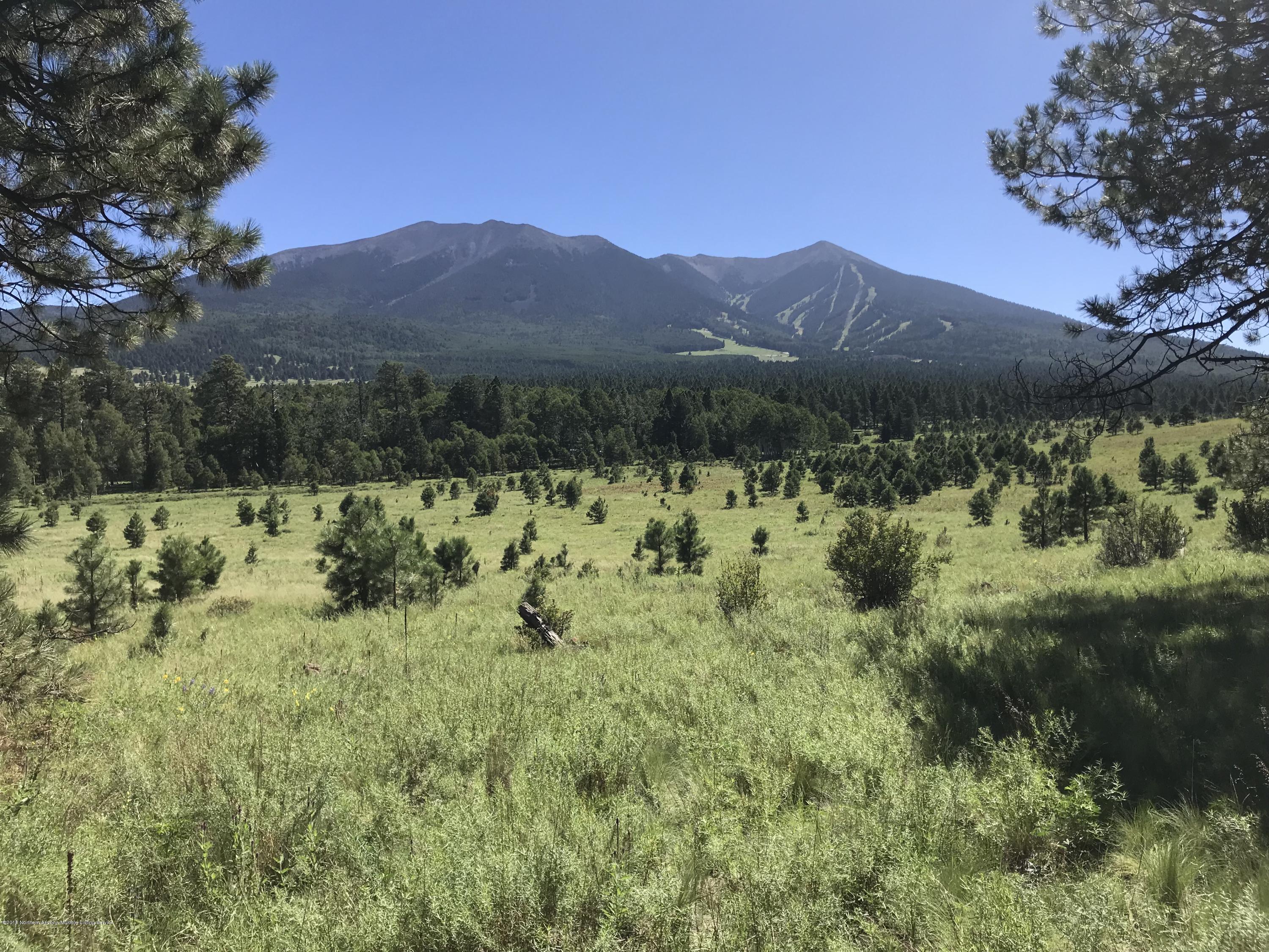 151 Hart Prairie Road Flagstaff, AZ 86001 - Photo 14 of 52 Hart Prairie Acreage