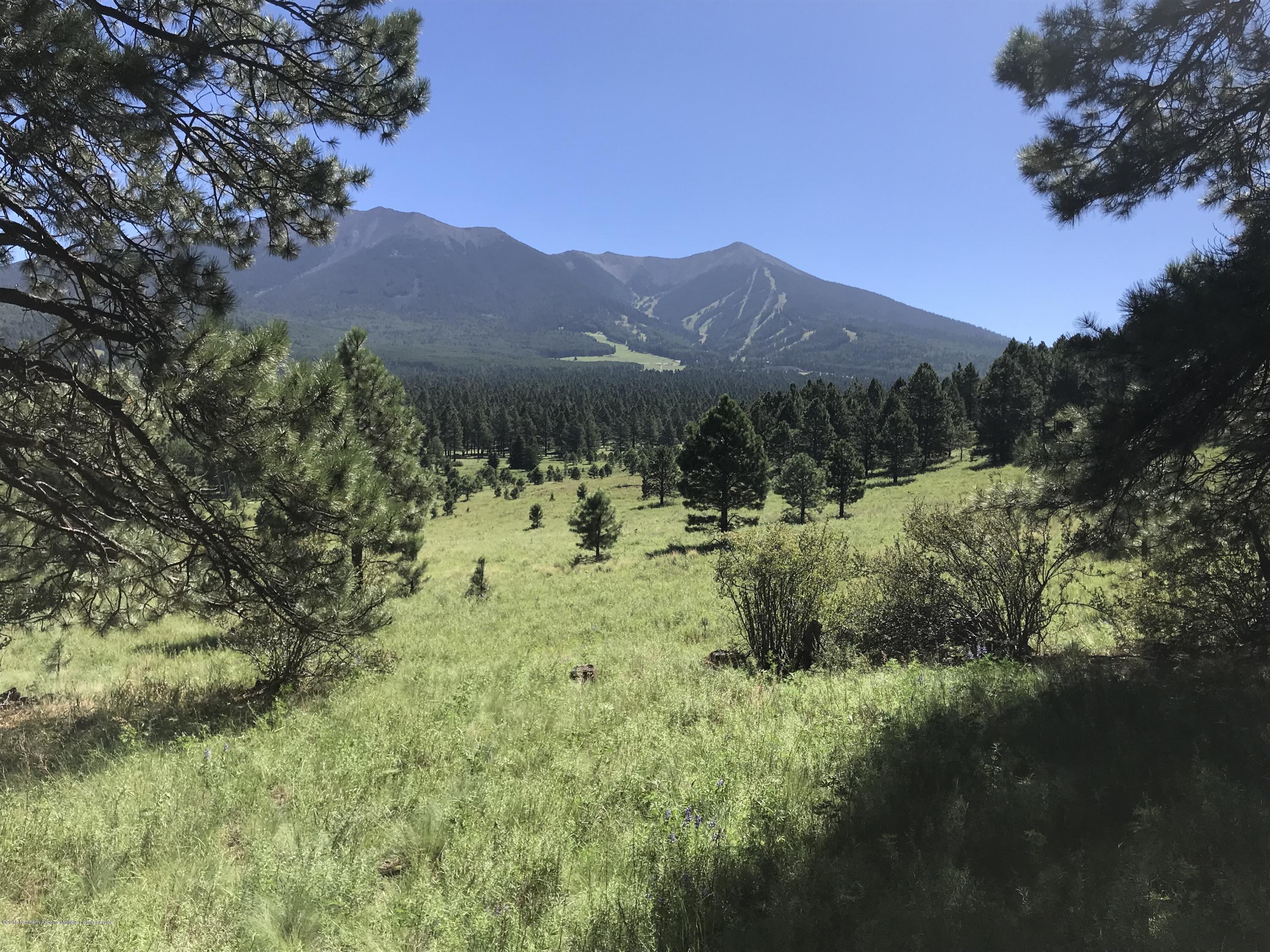 151 Hart Prairie Road Flagstaff, AZ 86001 - Photo 15 of 52 Hart Prairie Acreage