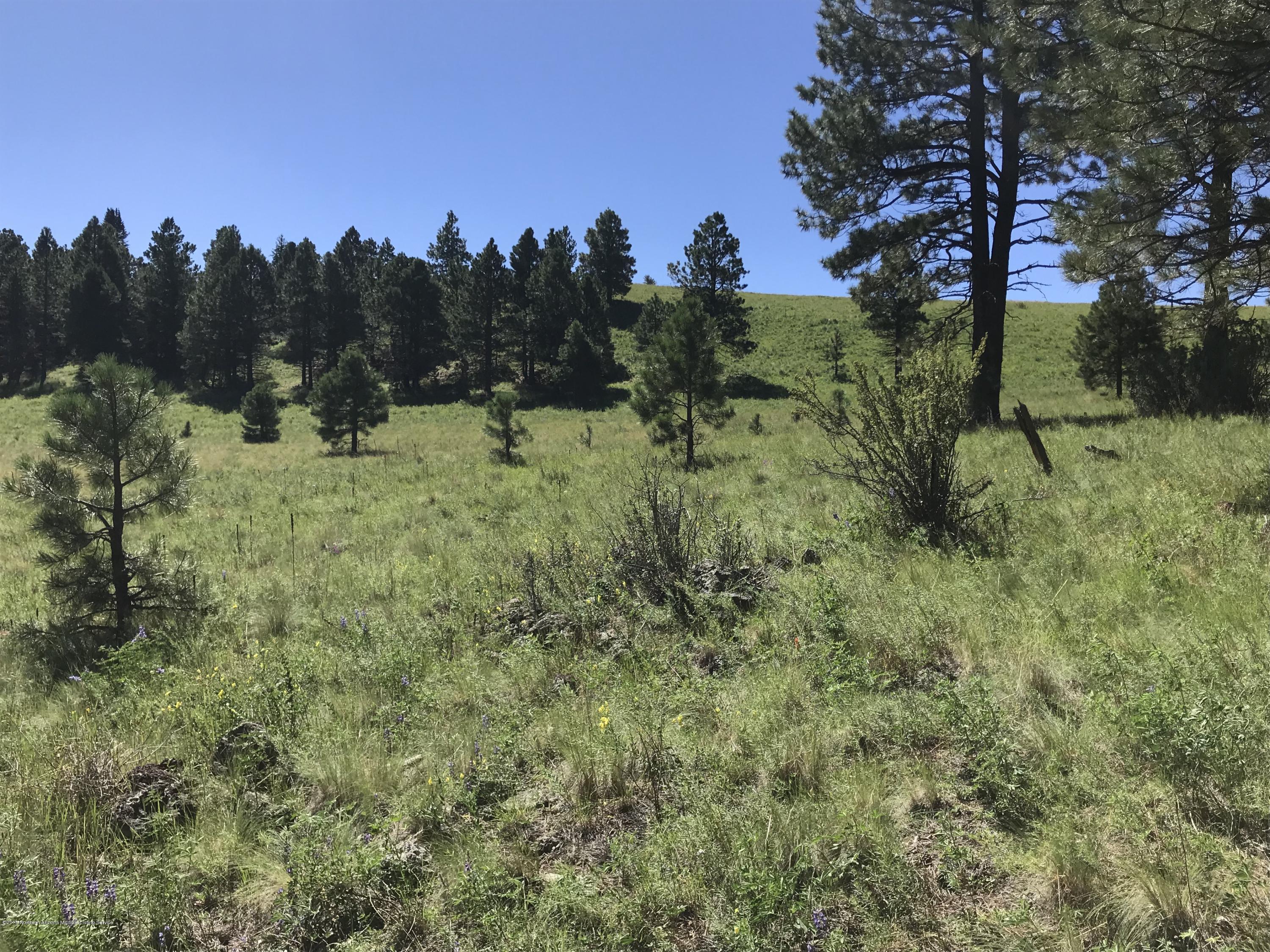 151 Hart Prairie Road Flagstaff, AZ 86001 - Photo 17 of 52 Hart Prairie Acreage