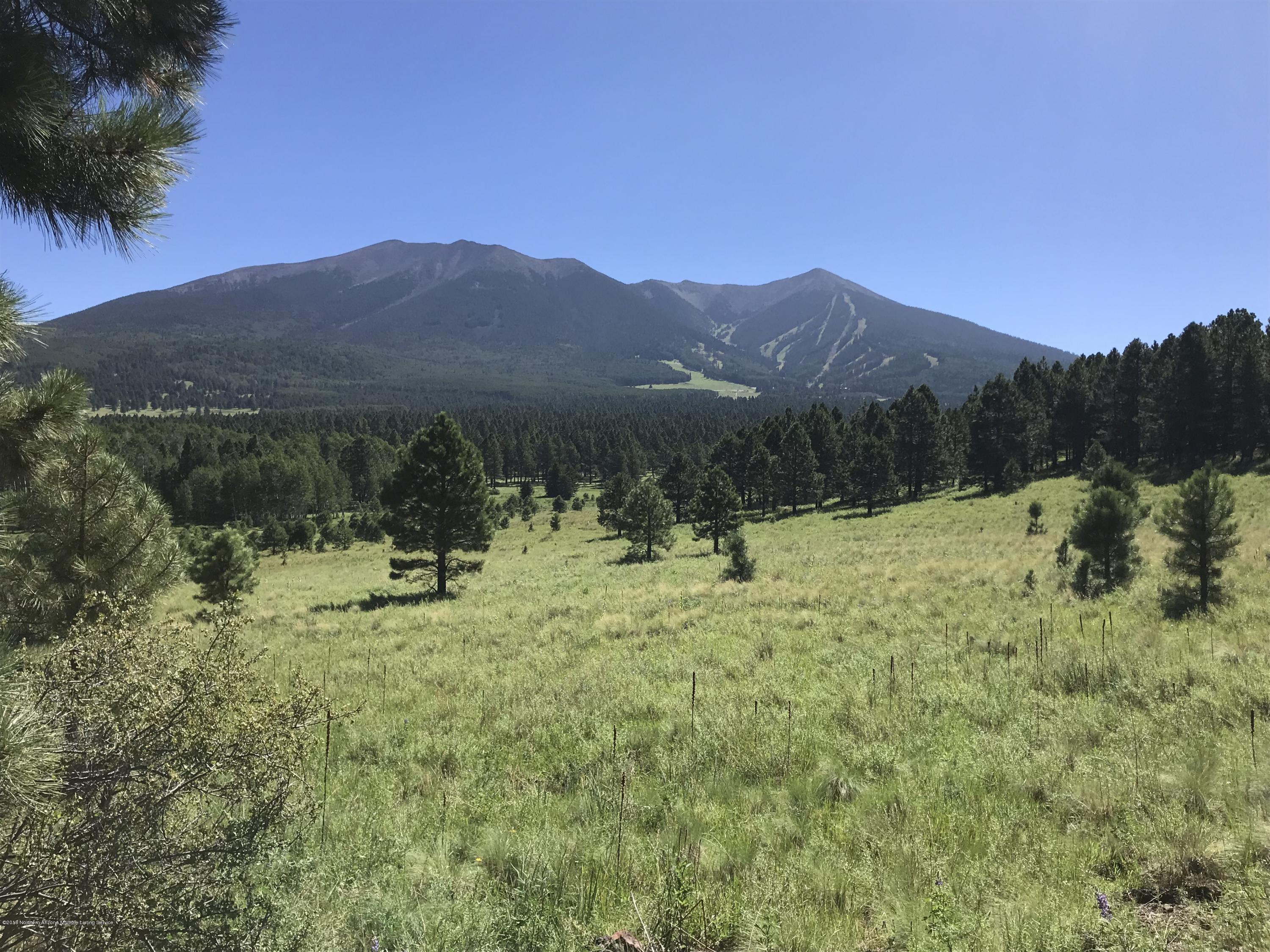 151 Hart Prairie Road Flagstaff, AZ 86001 - Photo 18 of 52 Hart Prairie Acreage
