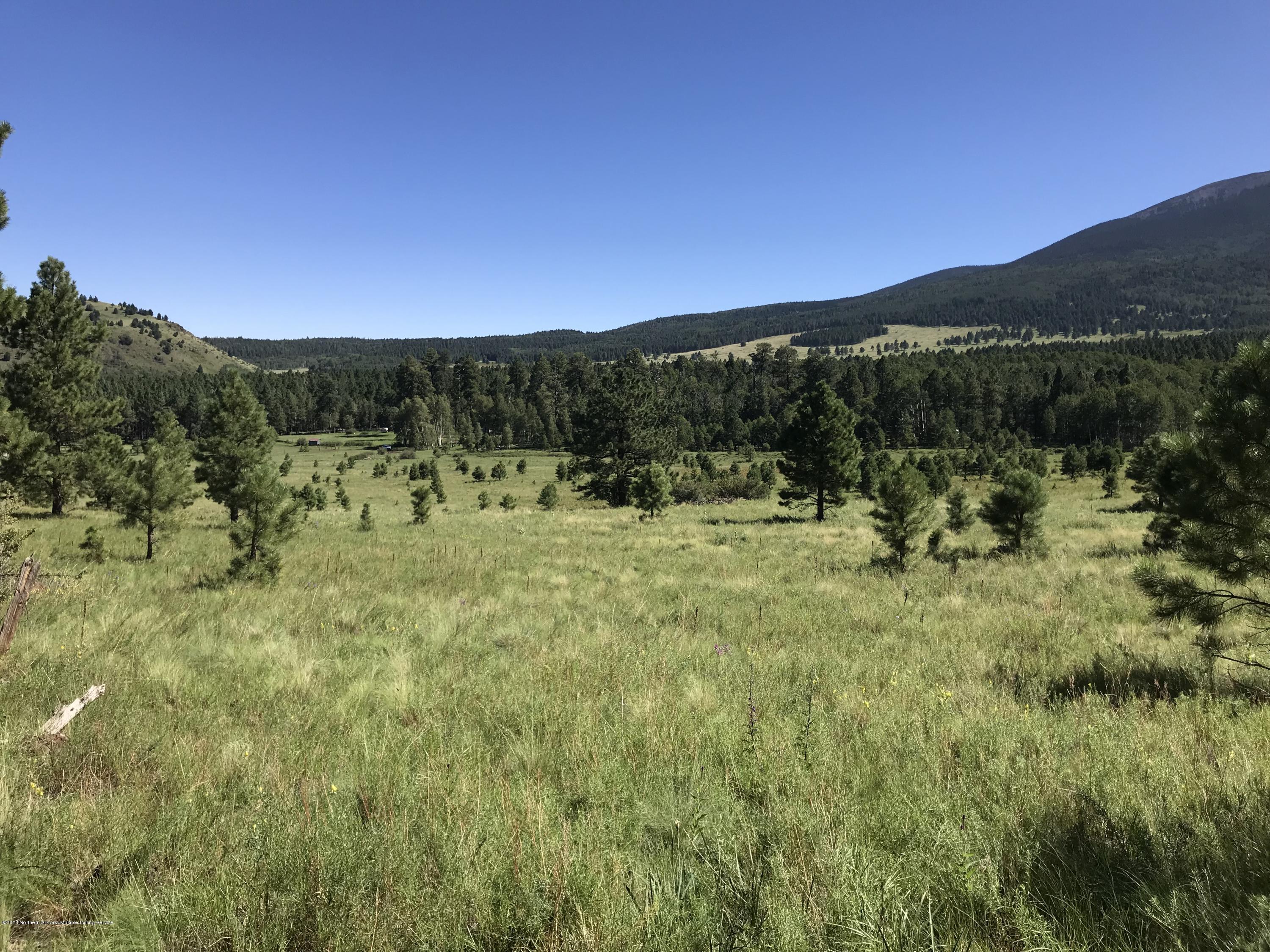 151 Hart Prairie Road Flagstaff, AZ 86001 - Photo 19 of 52 Hart Prairie Acreage