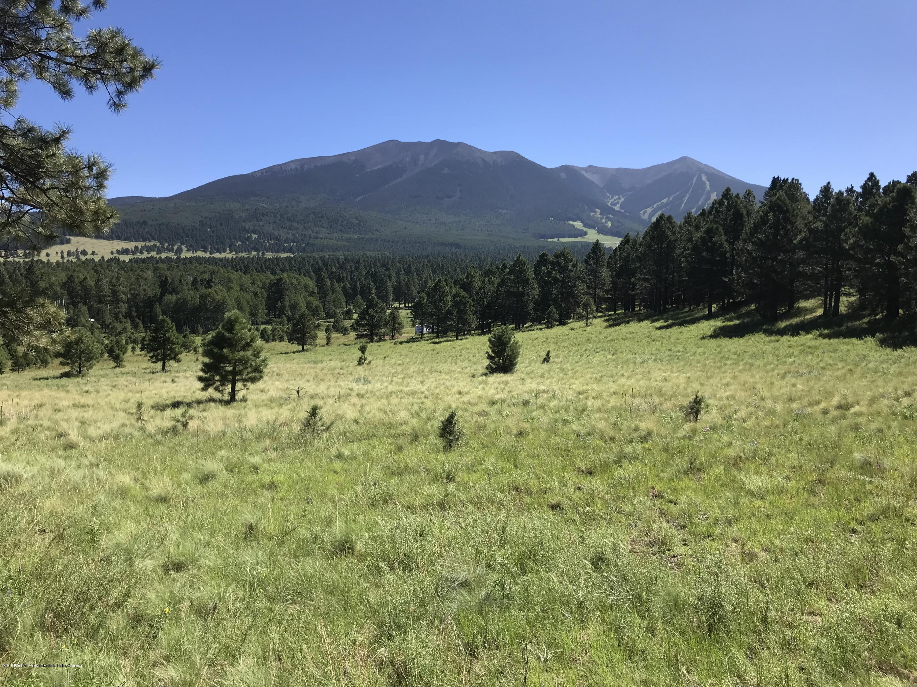 151 Hart Prairie Road Flagstaff, AZ 86001 - Photo 20 of 52 Hart Prairie Acreage