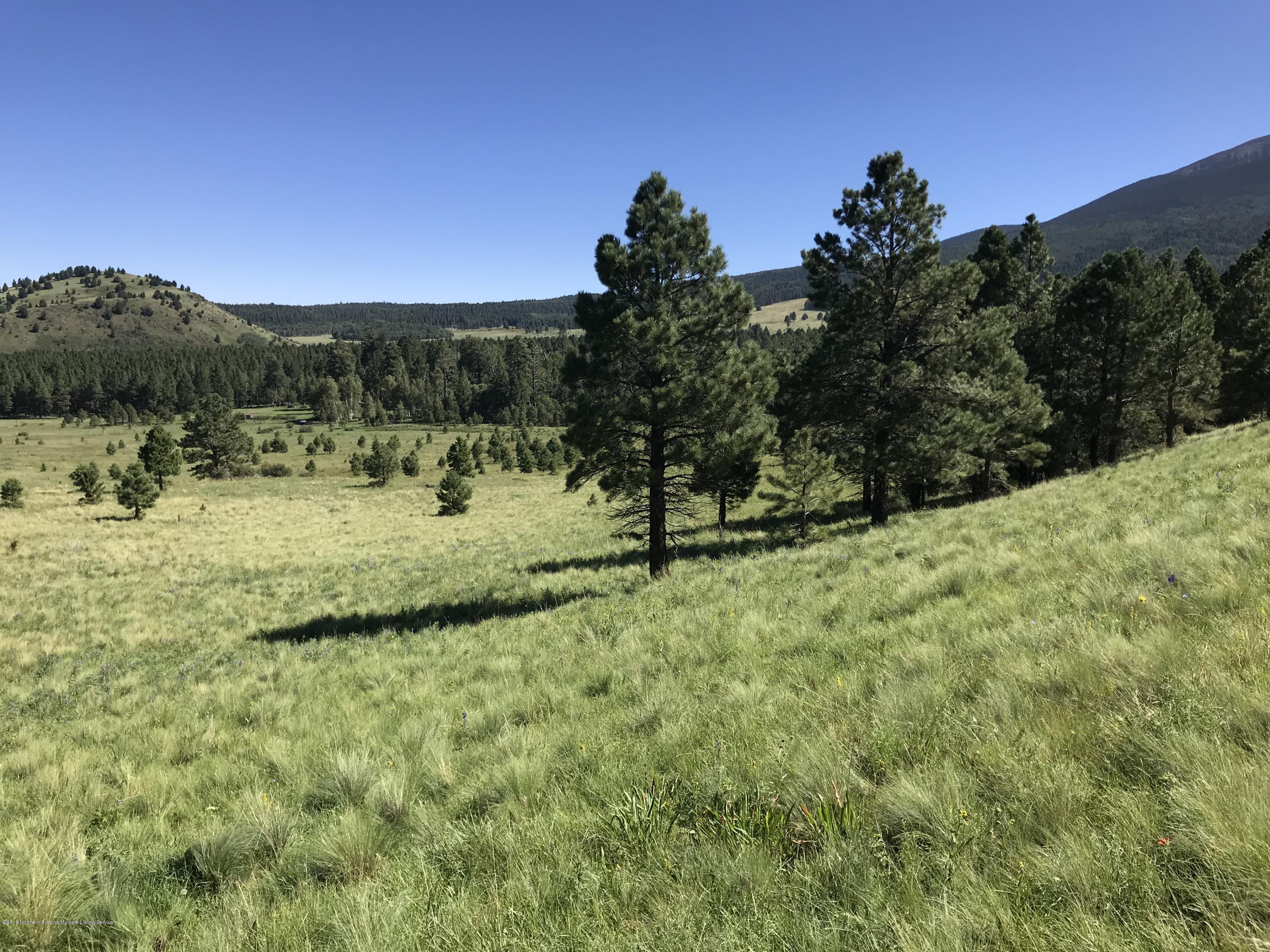 151 Hart Prairie Road Flagstaff, AZ 86001 - Photo 25 of 52 Hart Prairie Acreage