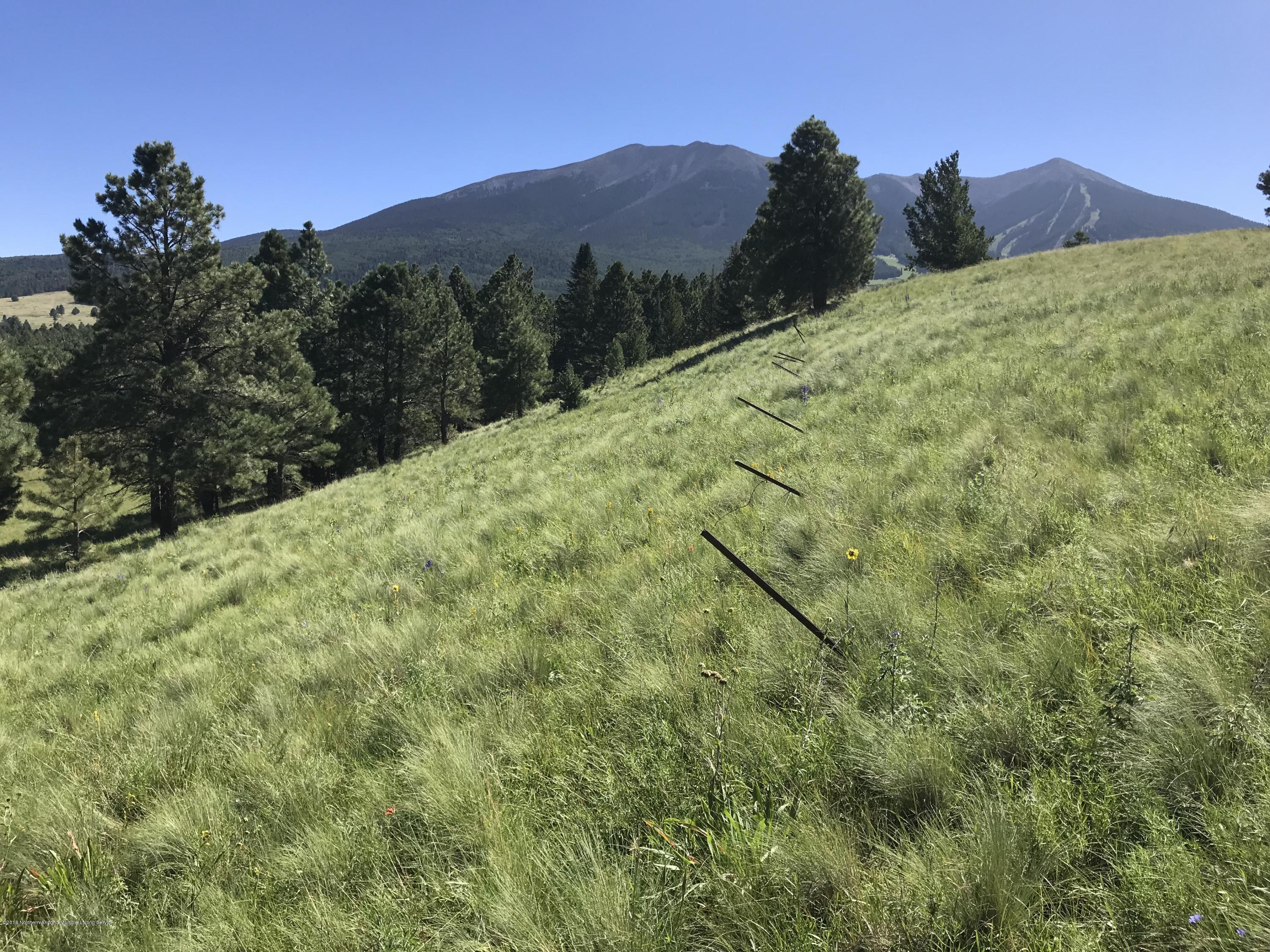 151 Hart Prairie Road Flagstaff, AZ 86001 - Photo 26 of 52 Hart Prairie Acreage