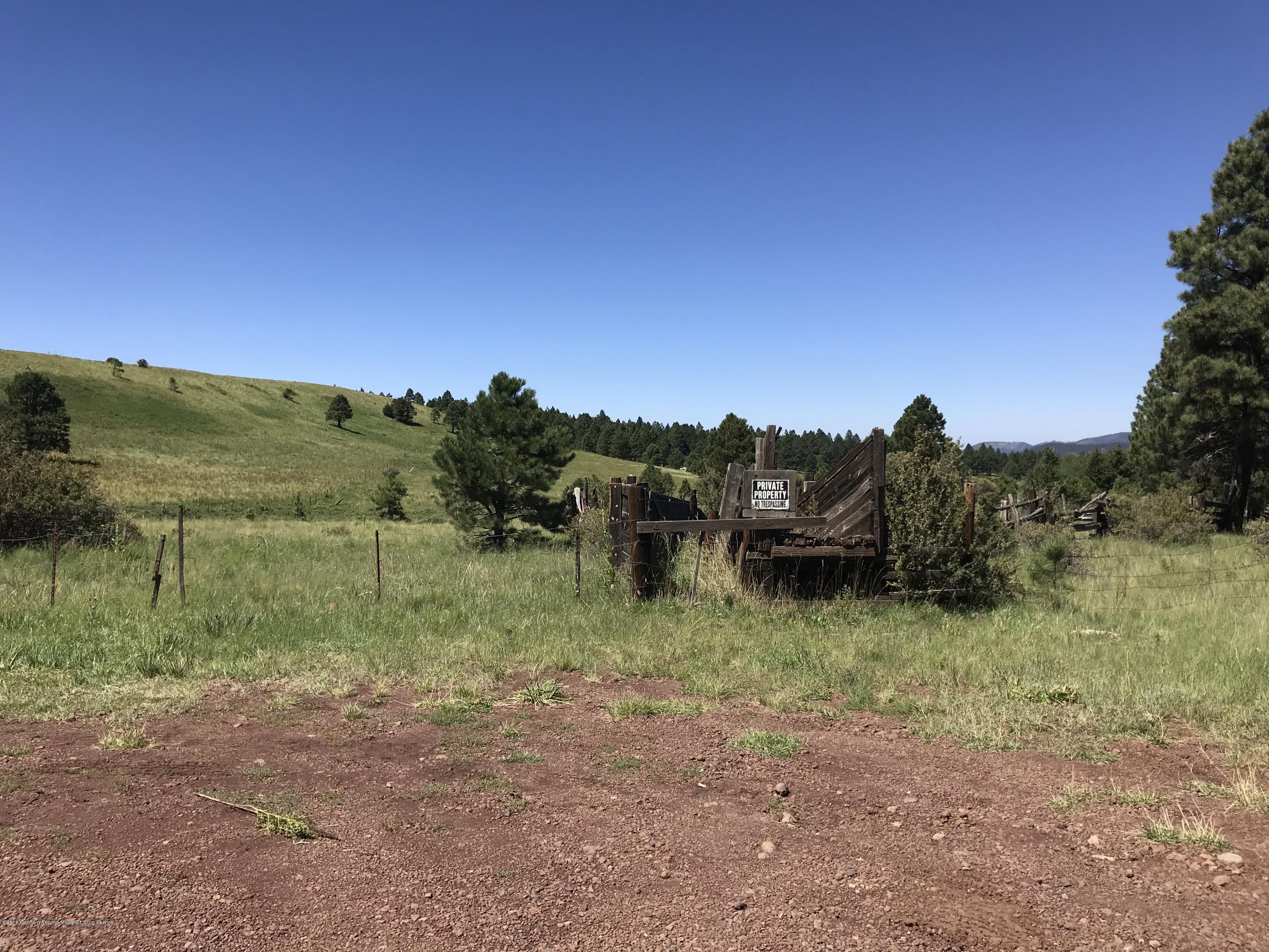 151 Hart Prairie Road Flagstaff, AZ 86001 - Photo 39 of 52 Hart Prairie Acreage