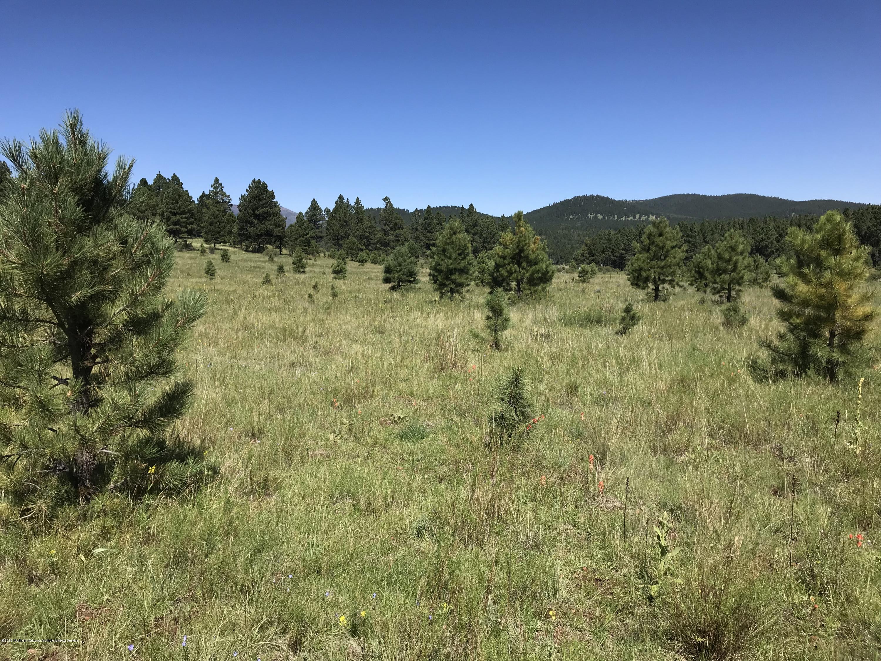 151 Hart Prairie Road Flagstaff, AZ 86001 - Photo 4 of 52 Hart Prairie Acreage