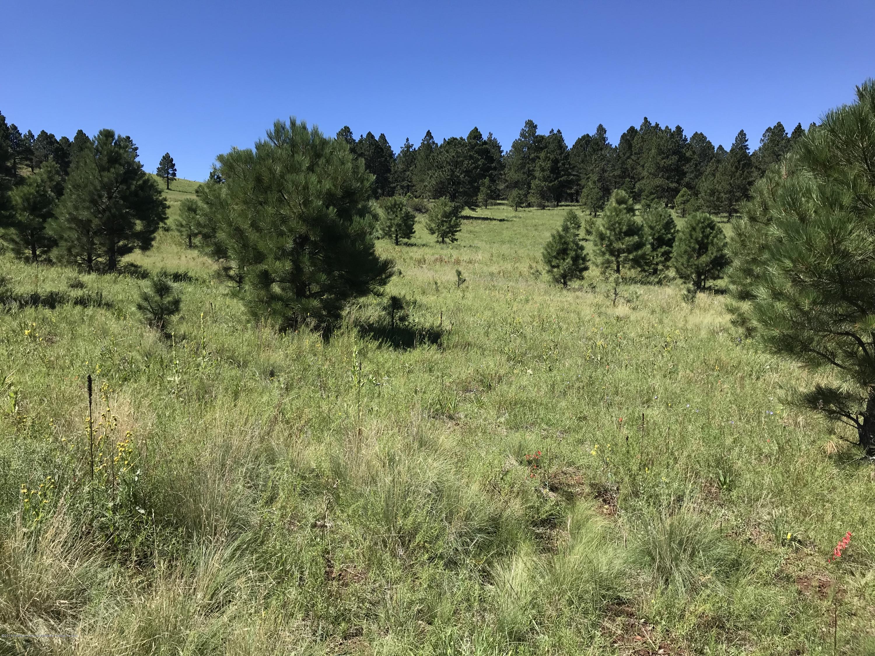 151 Hart Prairie Road Flagstaff, AZ 86001 - Photo 5 of 52 Hart Prairie Acreage