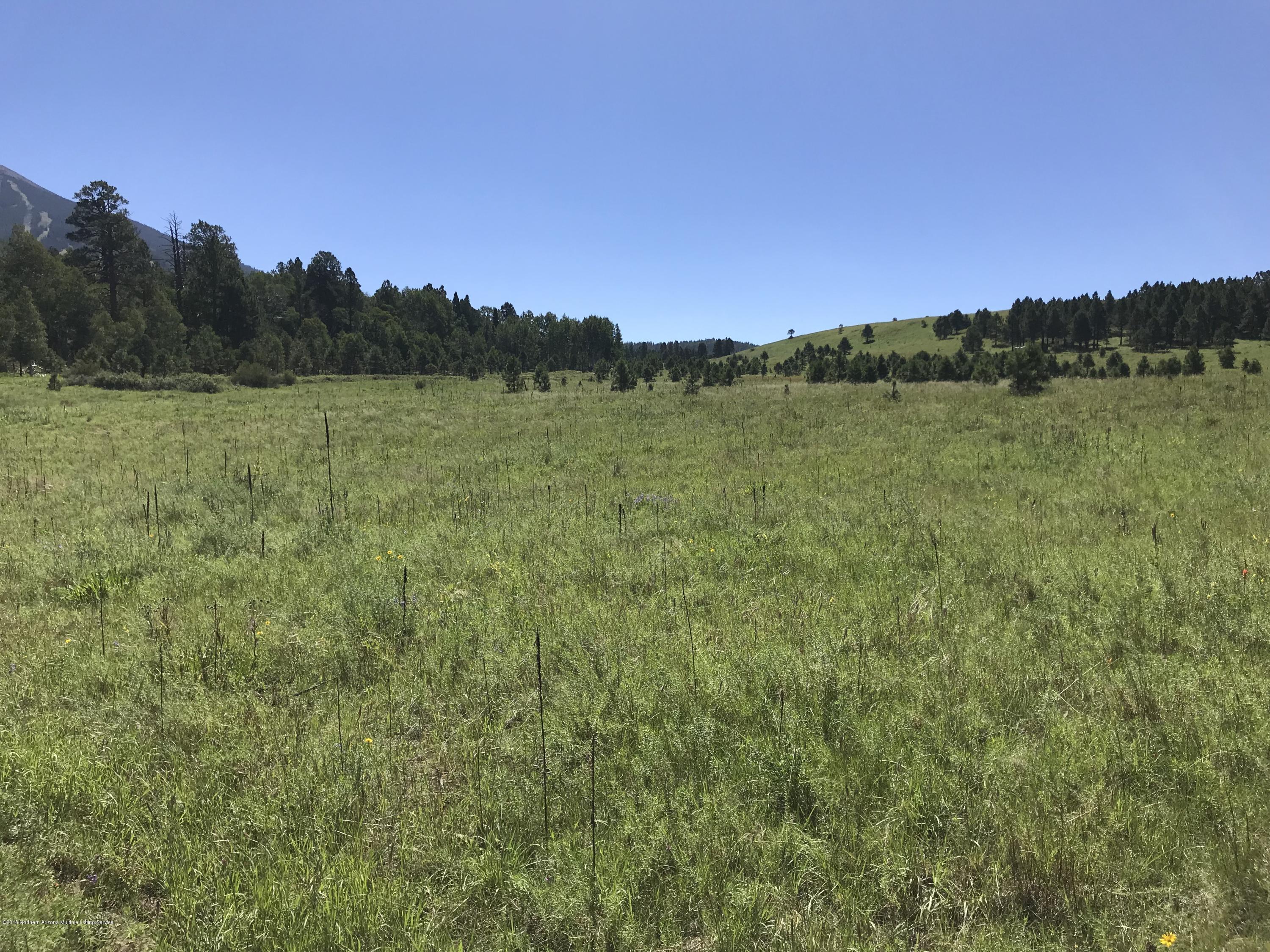 151 Hart Prairie Road Flagstaff, AZ 86001 - Photo 7 of 52 Hart Prairie Acreage