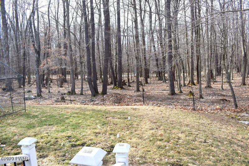 1050 Beaver Run Road Newfoundland, PA 18445 - Photo 25 of 29 DSC_0173