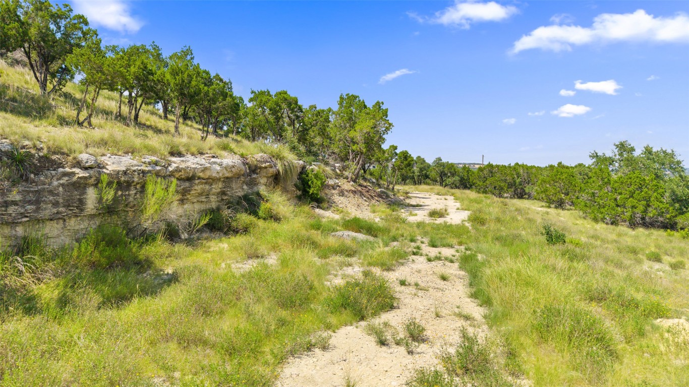 3301 R O Drive Spicewood, TX 78669 - Photo 22 of 37 a view of a yard with a tree