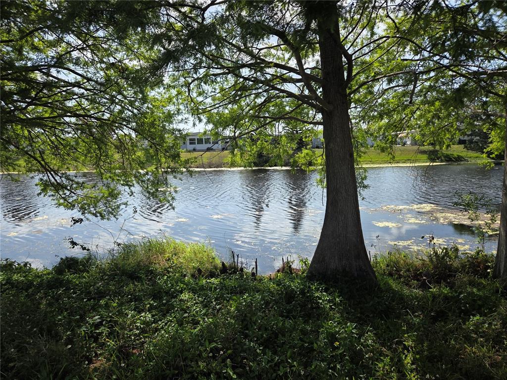 9900 Ulmerton Road, Unit 13 Largo, FL 33771 - Photo 21 of 26