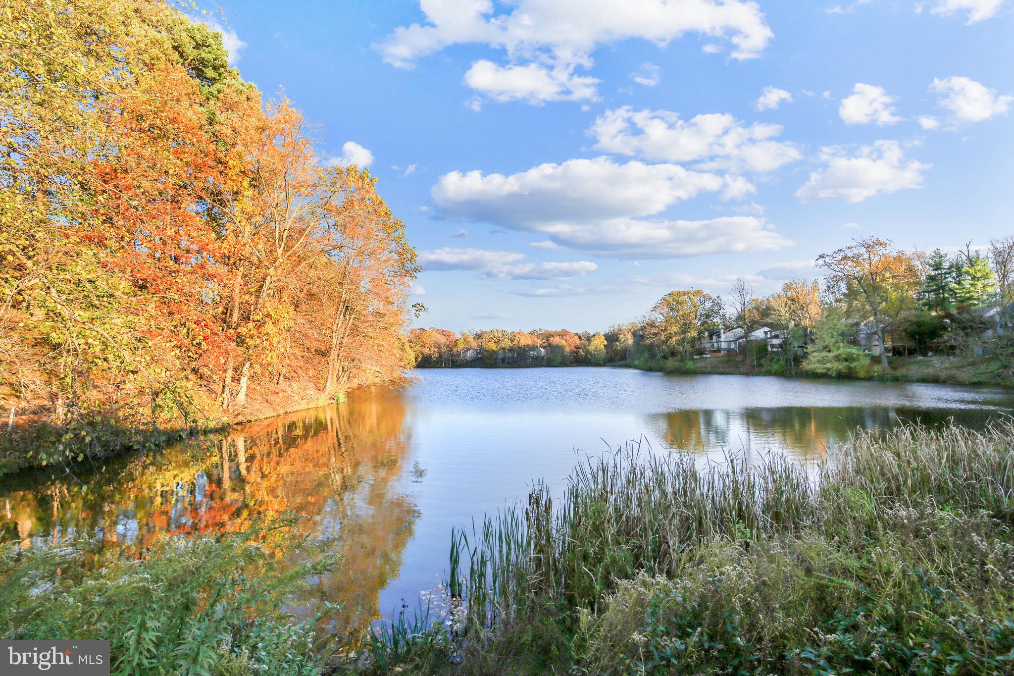 20510 Bargene Way Germantown, MD 20874 - Photo 82 of 97 a view of lake