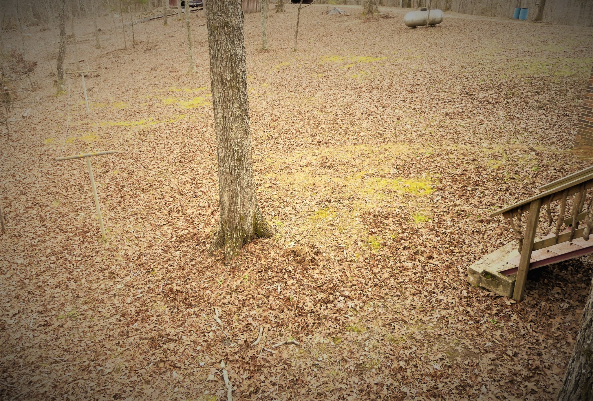 2502 Rocky Spring Road Holladay, TN 38341 - Photo 11 of 34 Gallery Image 11